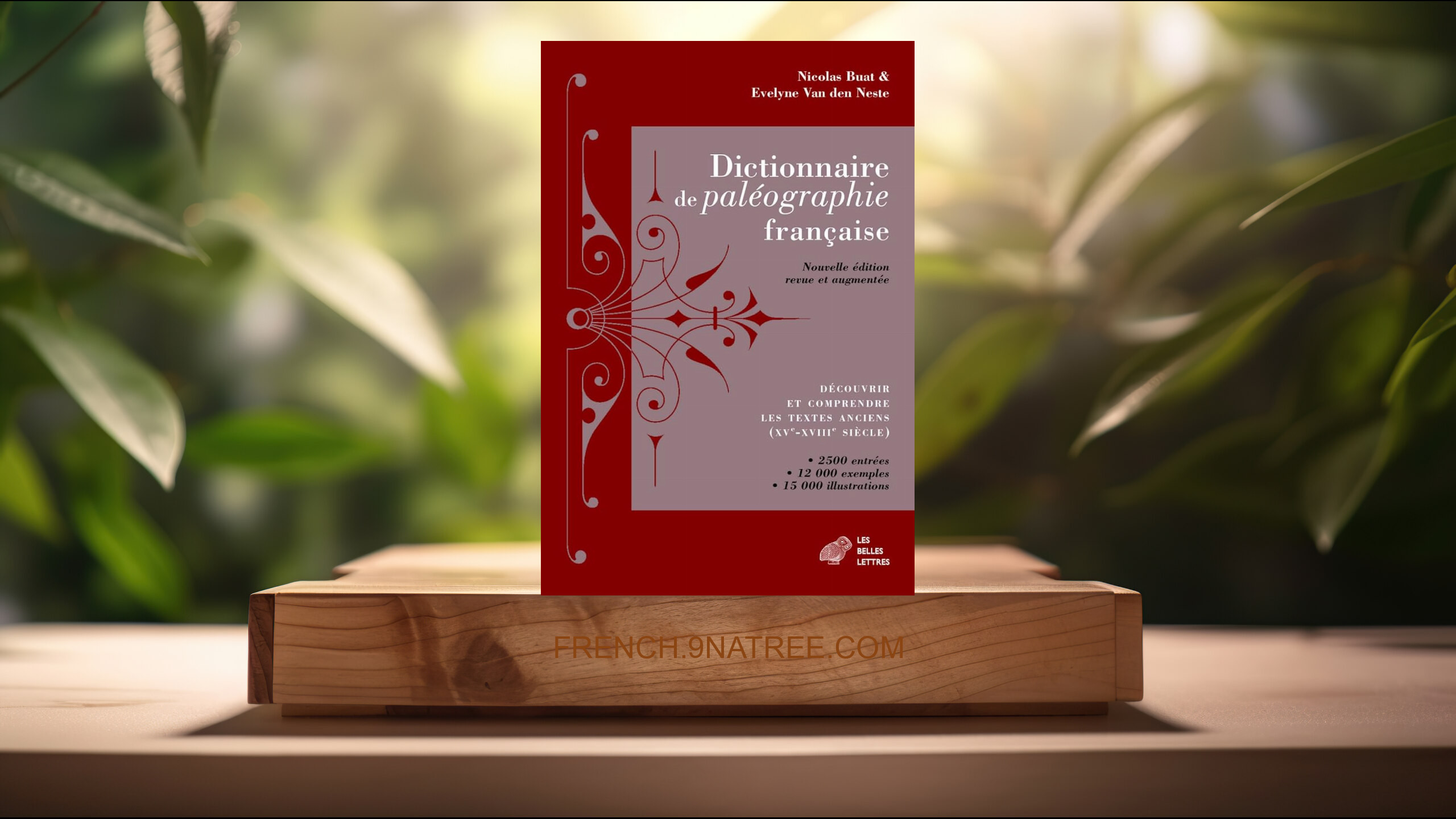 [Critique] Dictionnaire de paléographie française (Nicolas Buat) Résumé.