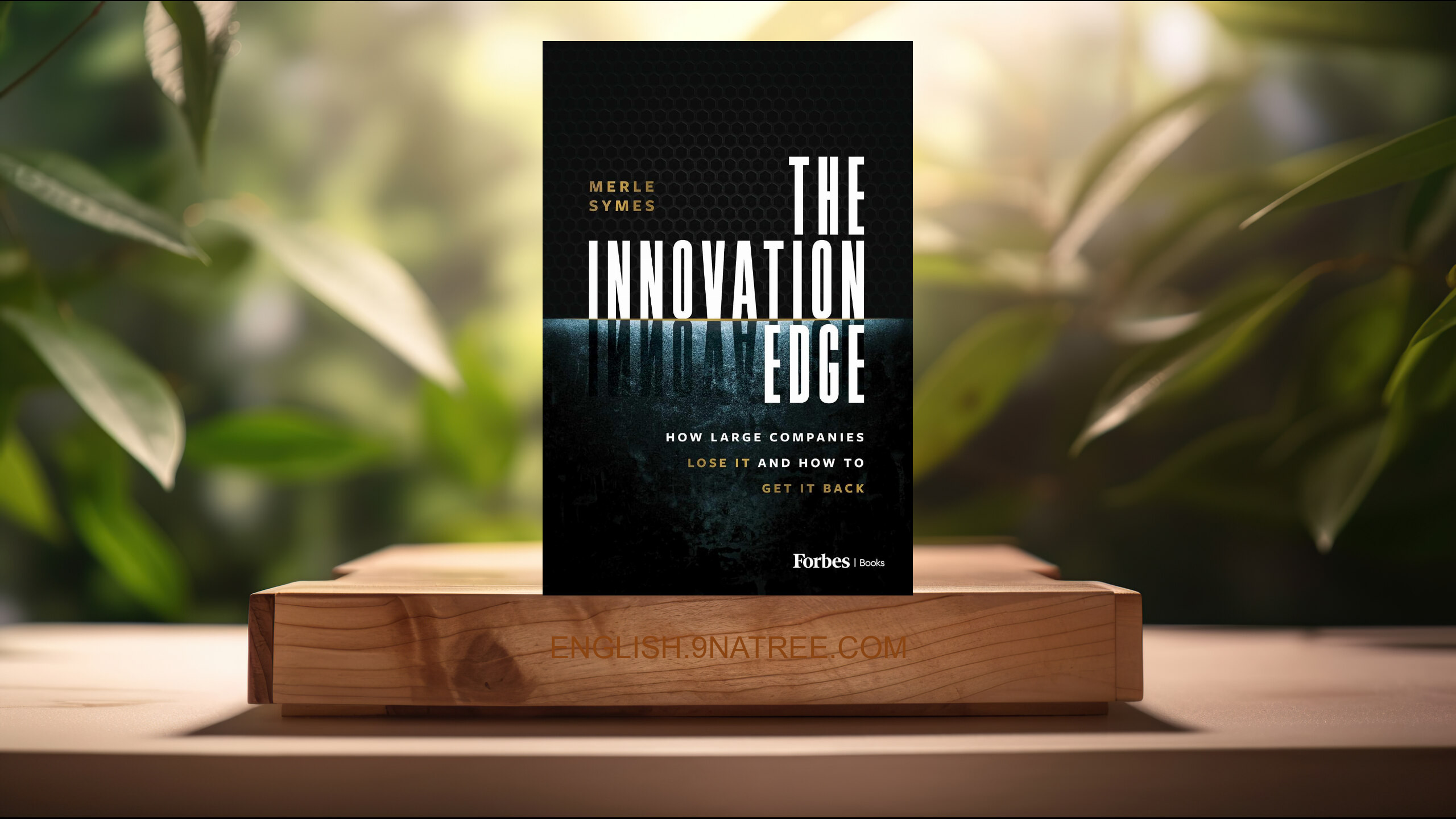 [Review] The Innovation Edge (Merle Symes) Summarized.