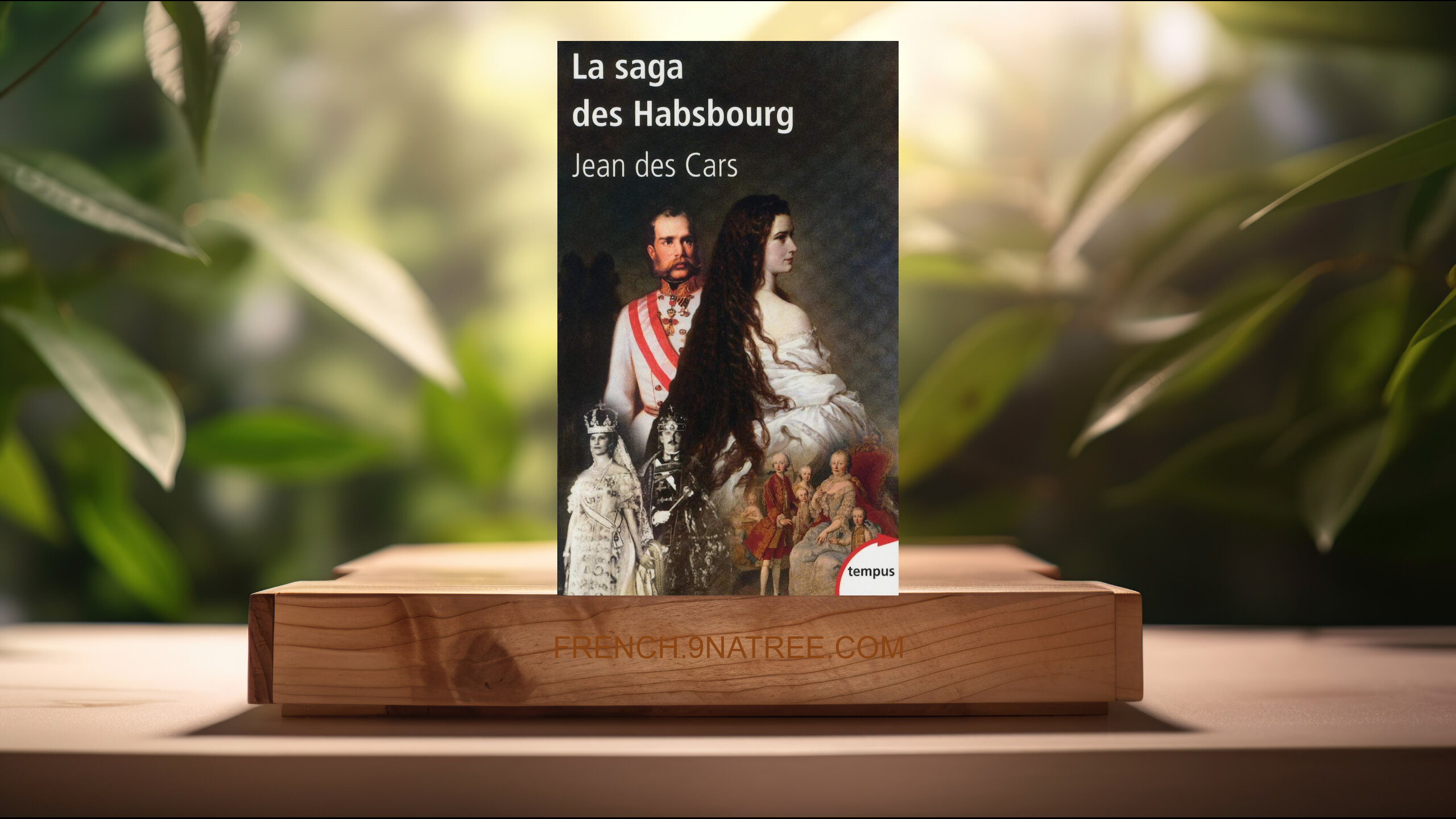 [Critique] La saga des Habsbourg (Jean des Cars) Résumé.