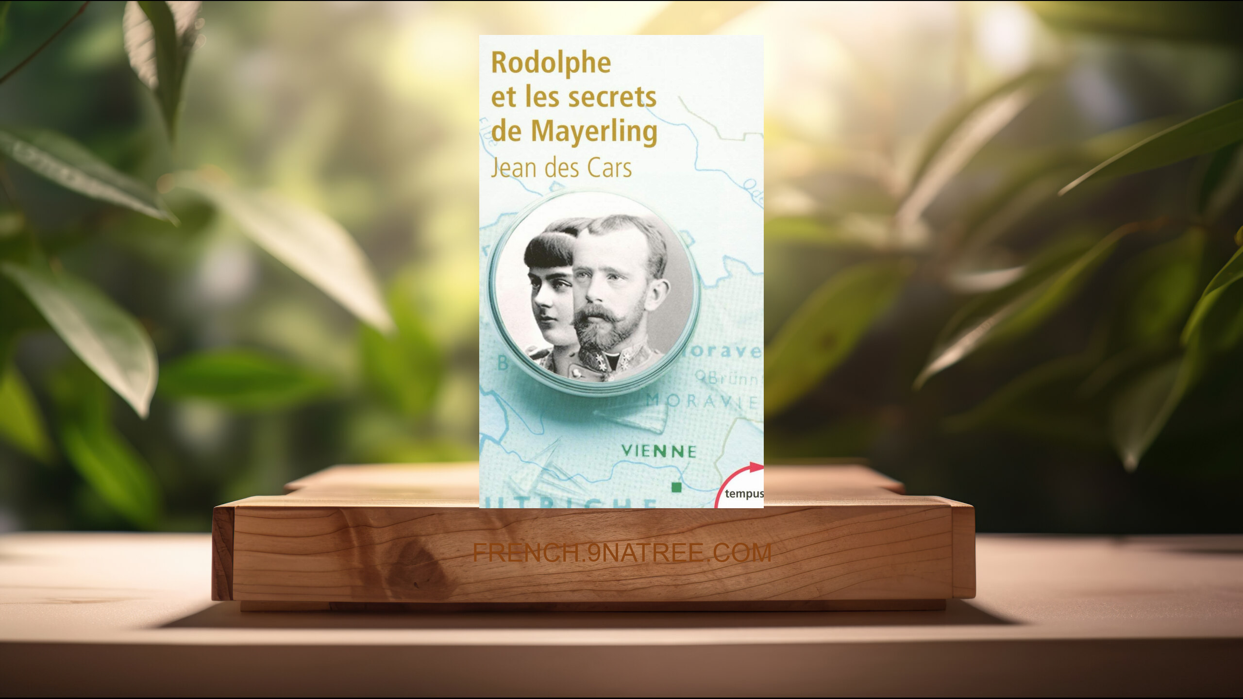 [Critique] Rodolphe et les secrets de Mayerling (Jean des Cars) Résumé.