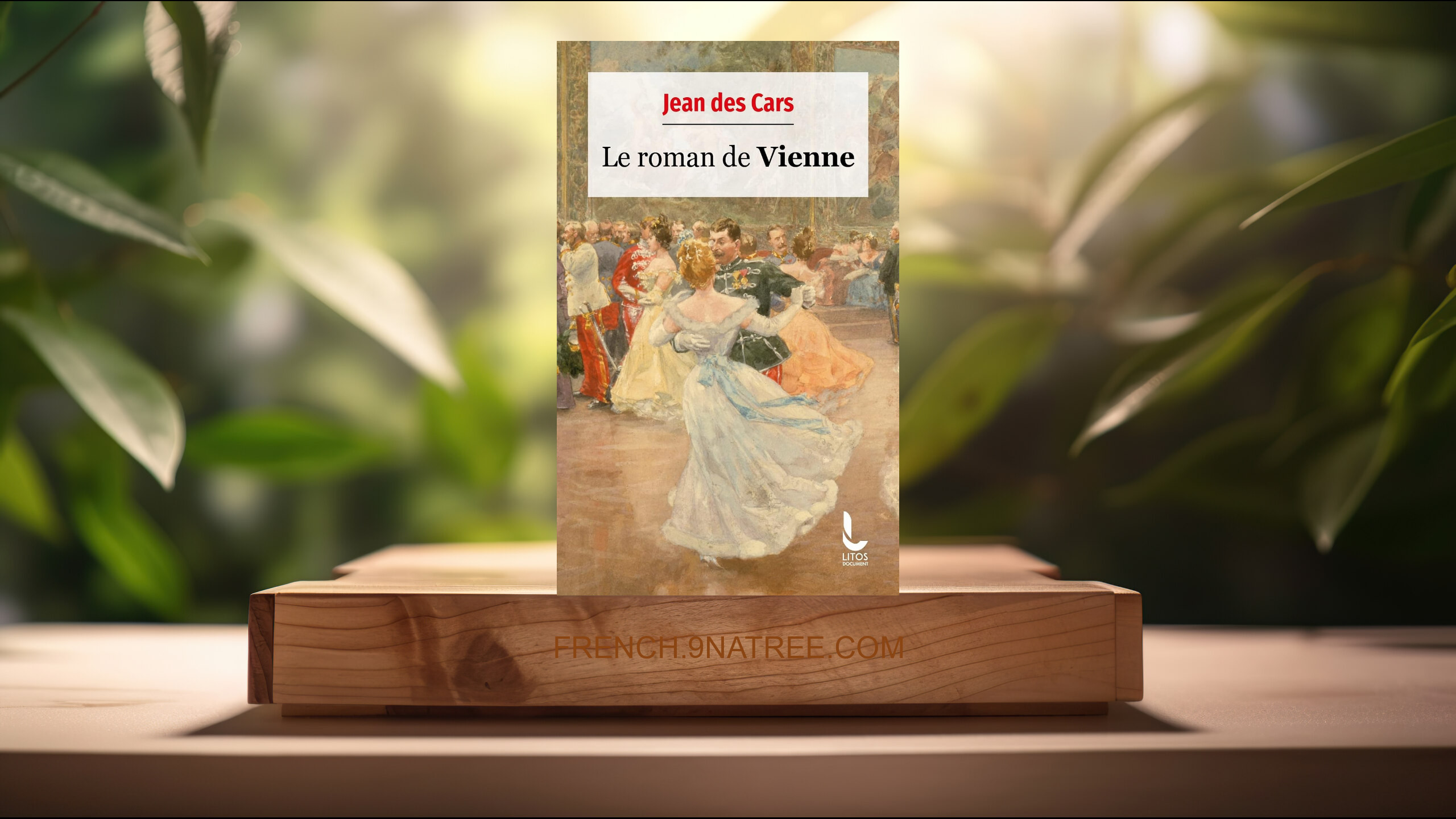 [Critique] Le Roman de Vienne (Jean des Cars) Résumé.