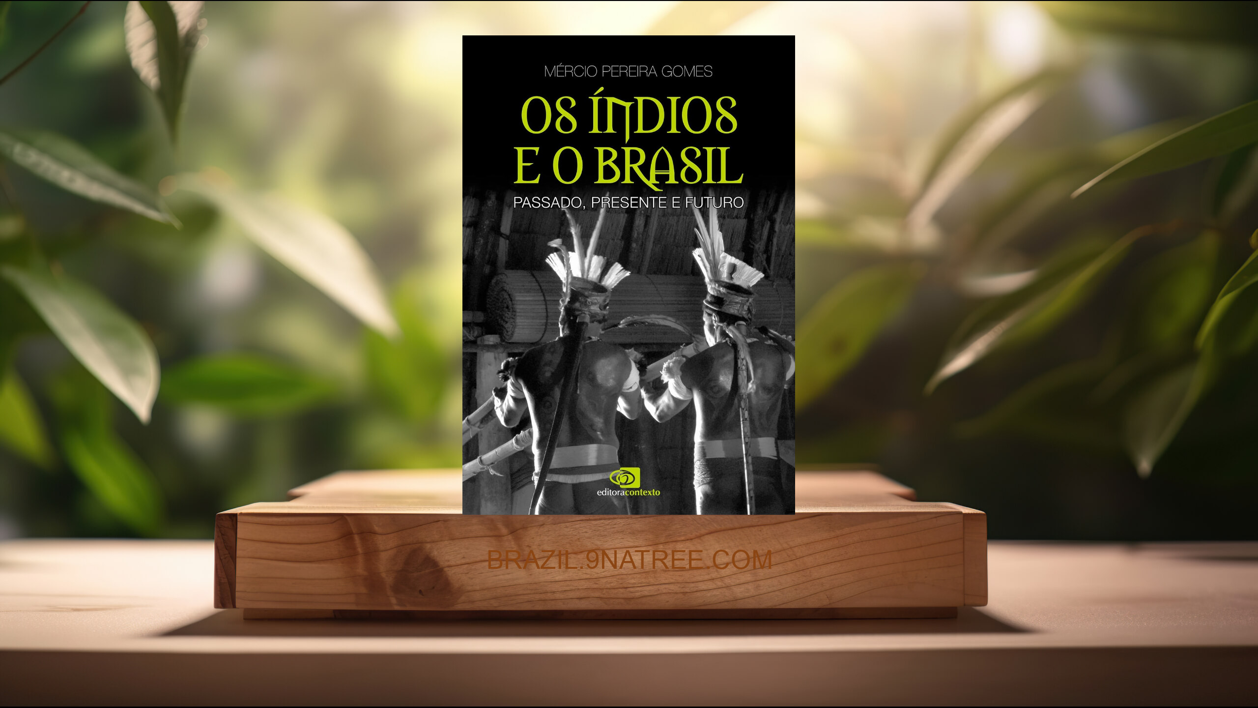 [Análises] Os índios e o Brasil: Passado, Presente e Futuro (Mercio Pereira Gomes) Resumidos.