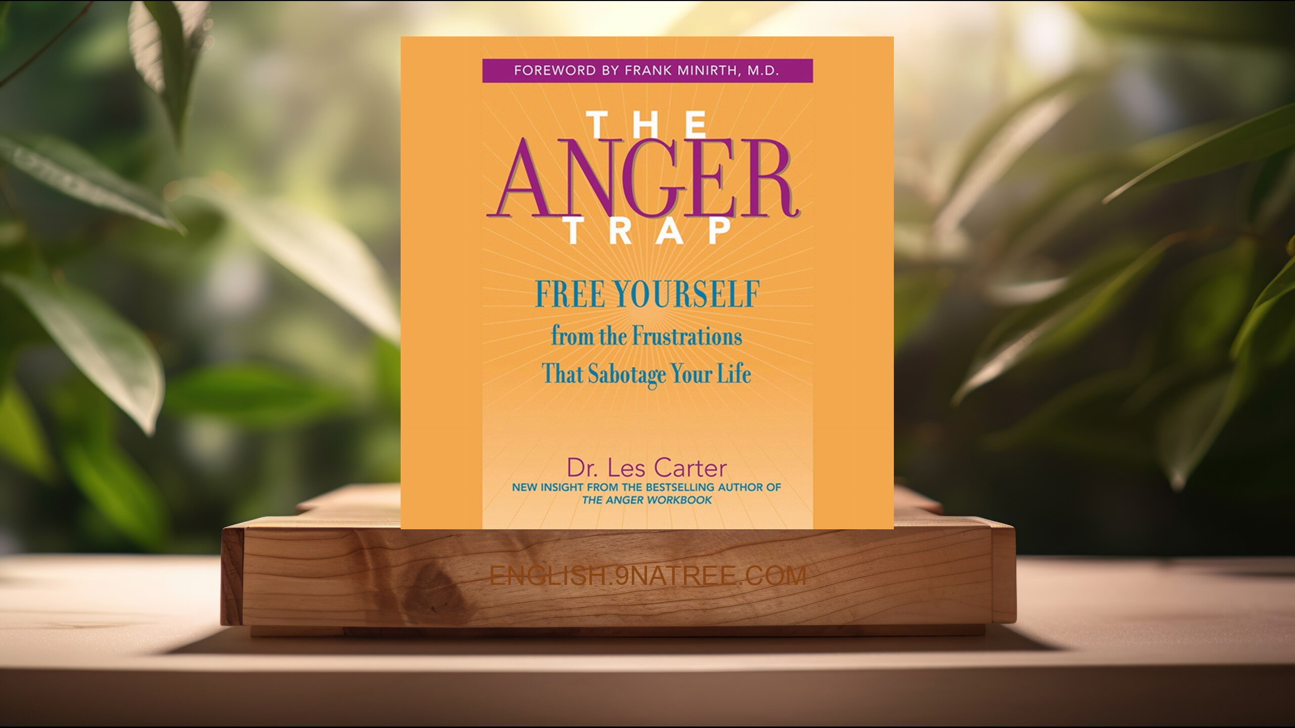 [Review] The Anger Trap (Frank Minirth) Summarized.