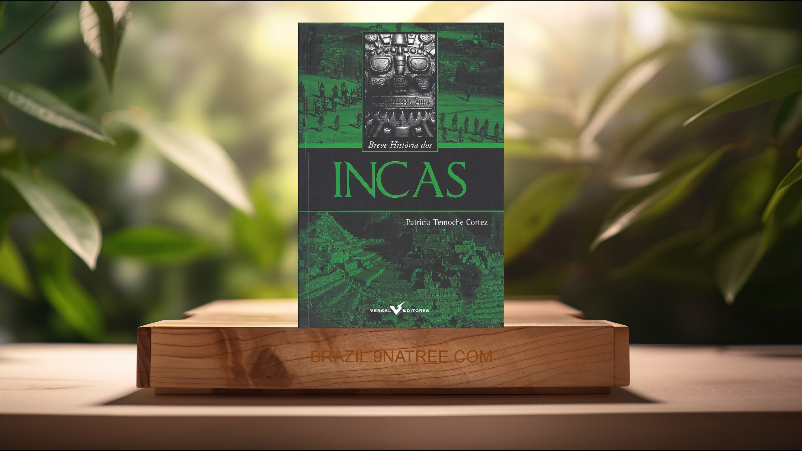 [Análises] Breve História dos Incas (Patricia Temoche Cortez) Resumidos.