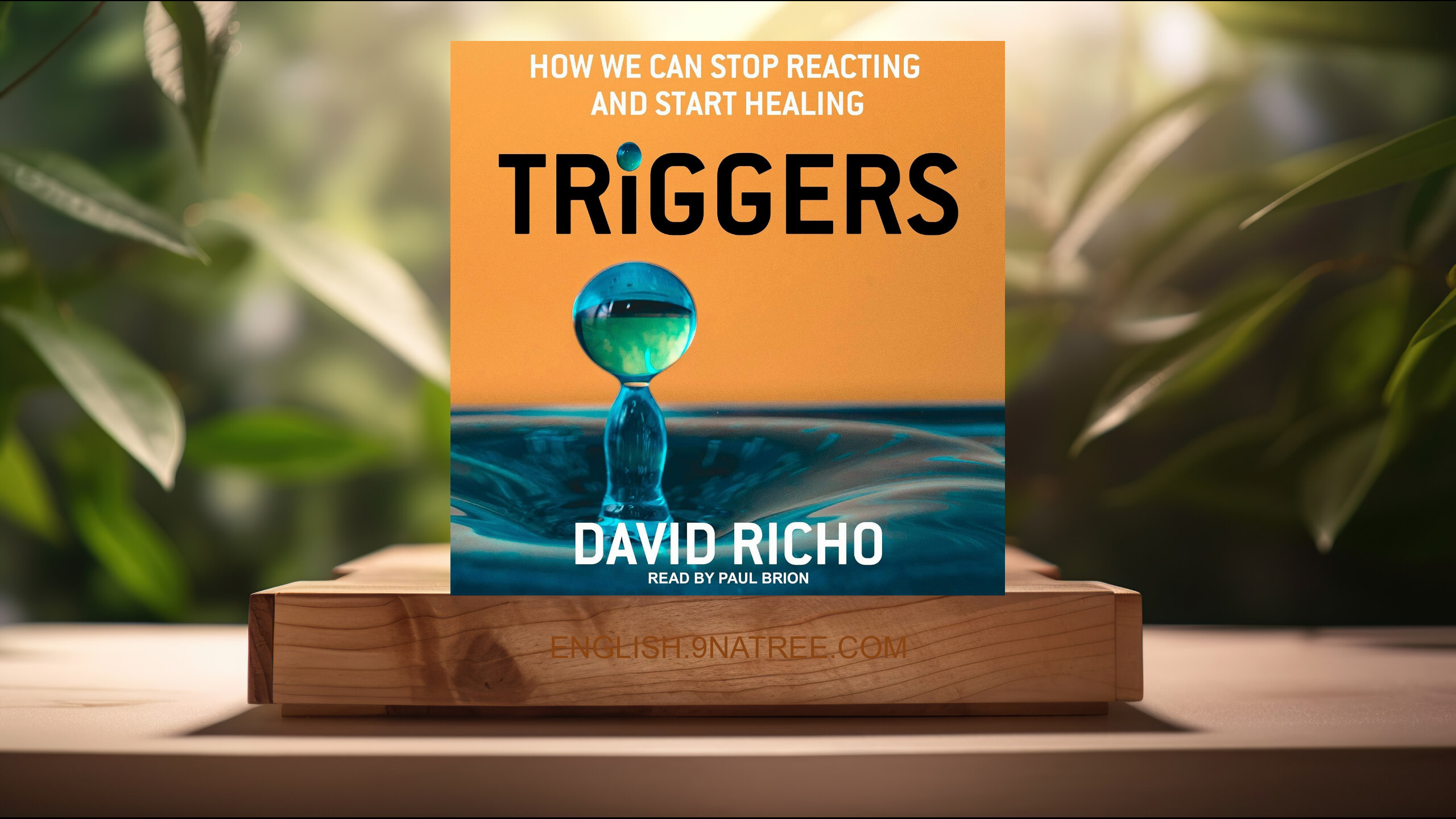 [Review] Triggers: How We Can Stop Reacting and Start Healing (David Richo) Summarized.