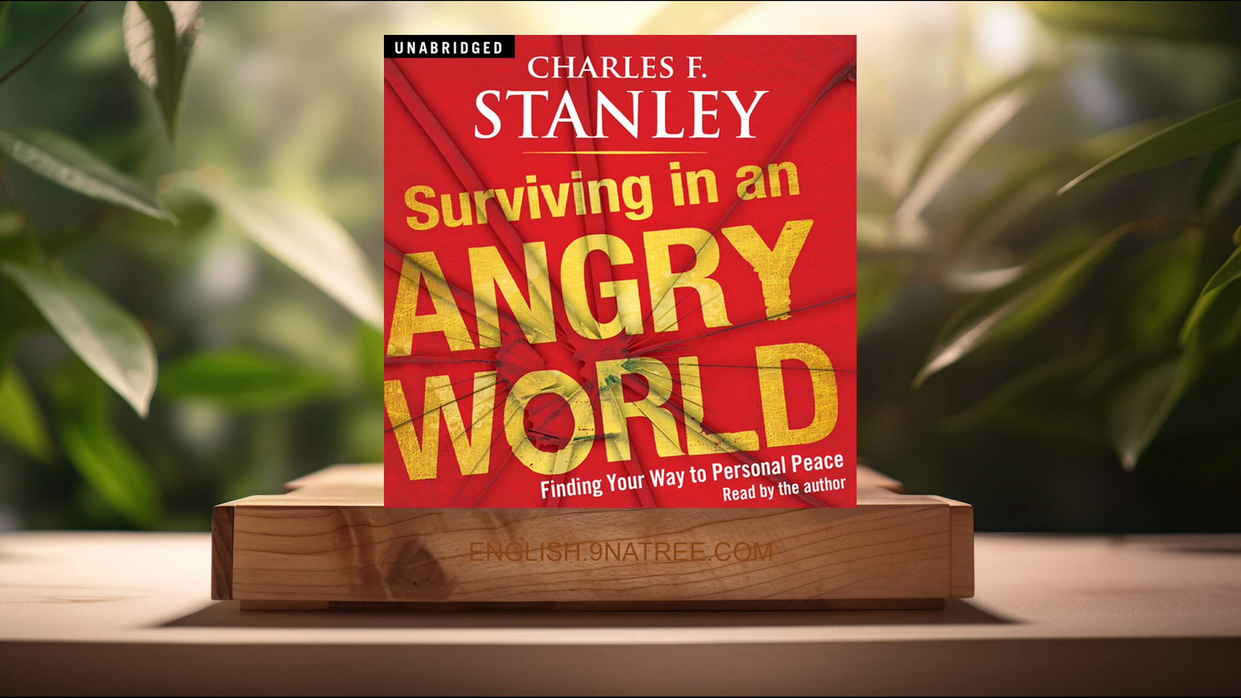 [Review] Surviving in an Angry World: Finding Your Way to Personal Peace (Charles F. Stanley) Summarized.