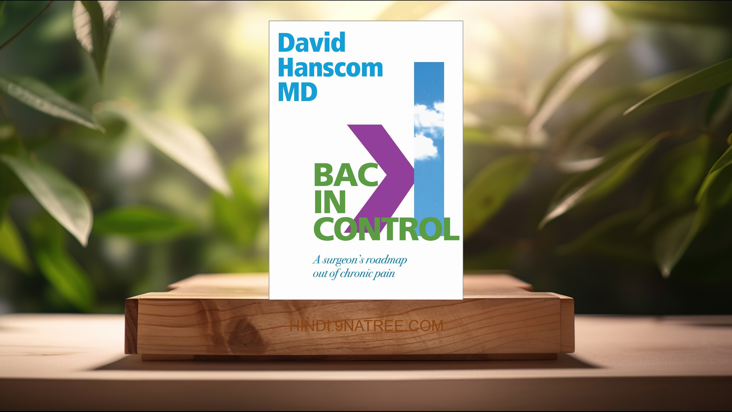 [समीक्षा] Back in Control (David Hanscom) सारांशित. episode artwork