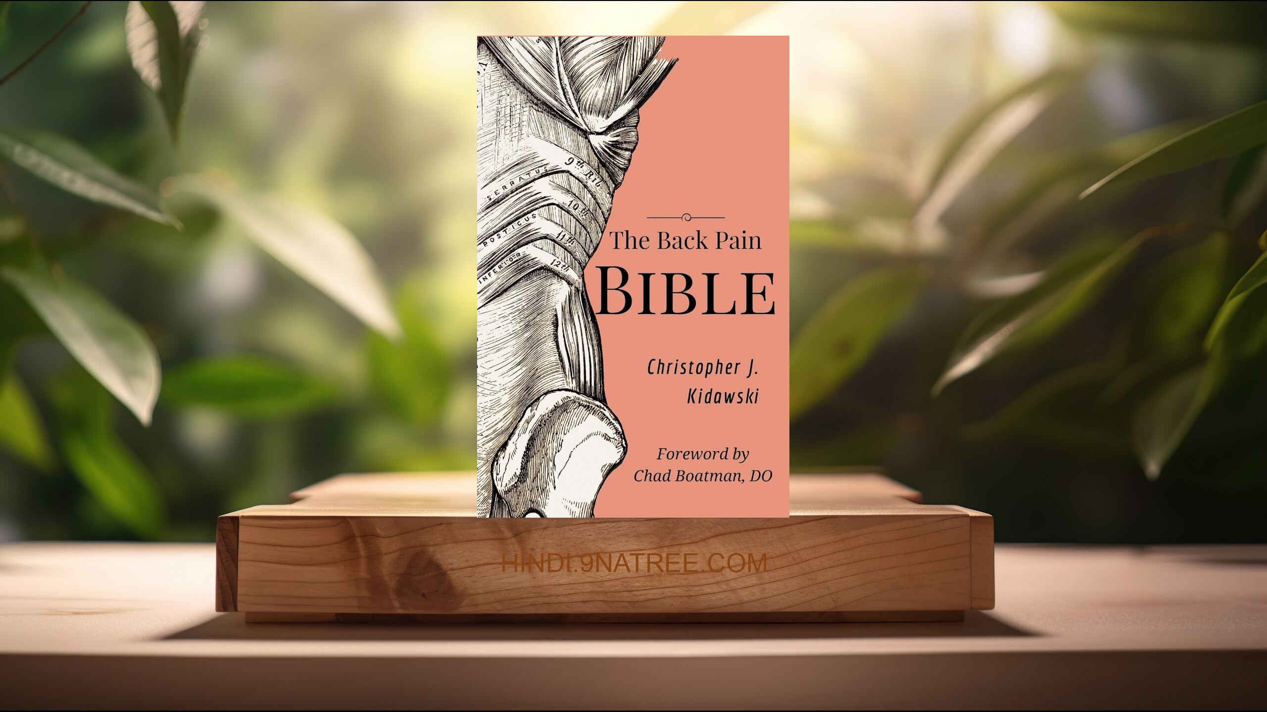 [समीक्षा] The Back Pain Bible (Christopher J. Kidawski) सारांशित. episode artwork