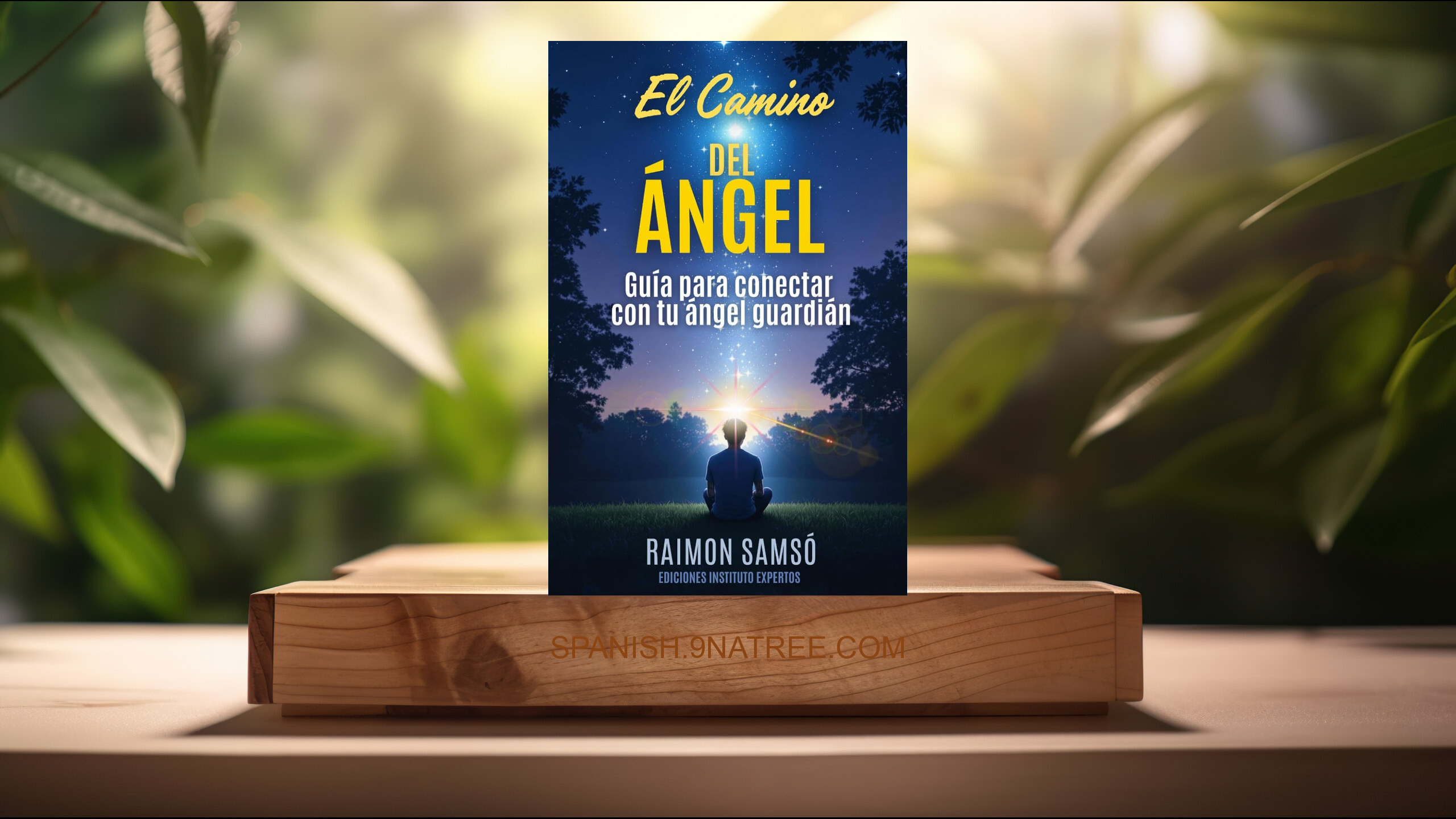 [Reseña] El Camino del Ángel: Guía para conectar con tu ángel guardián  (Raimon Samsó) Resumida.