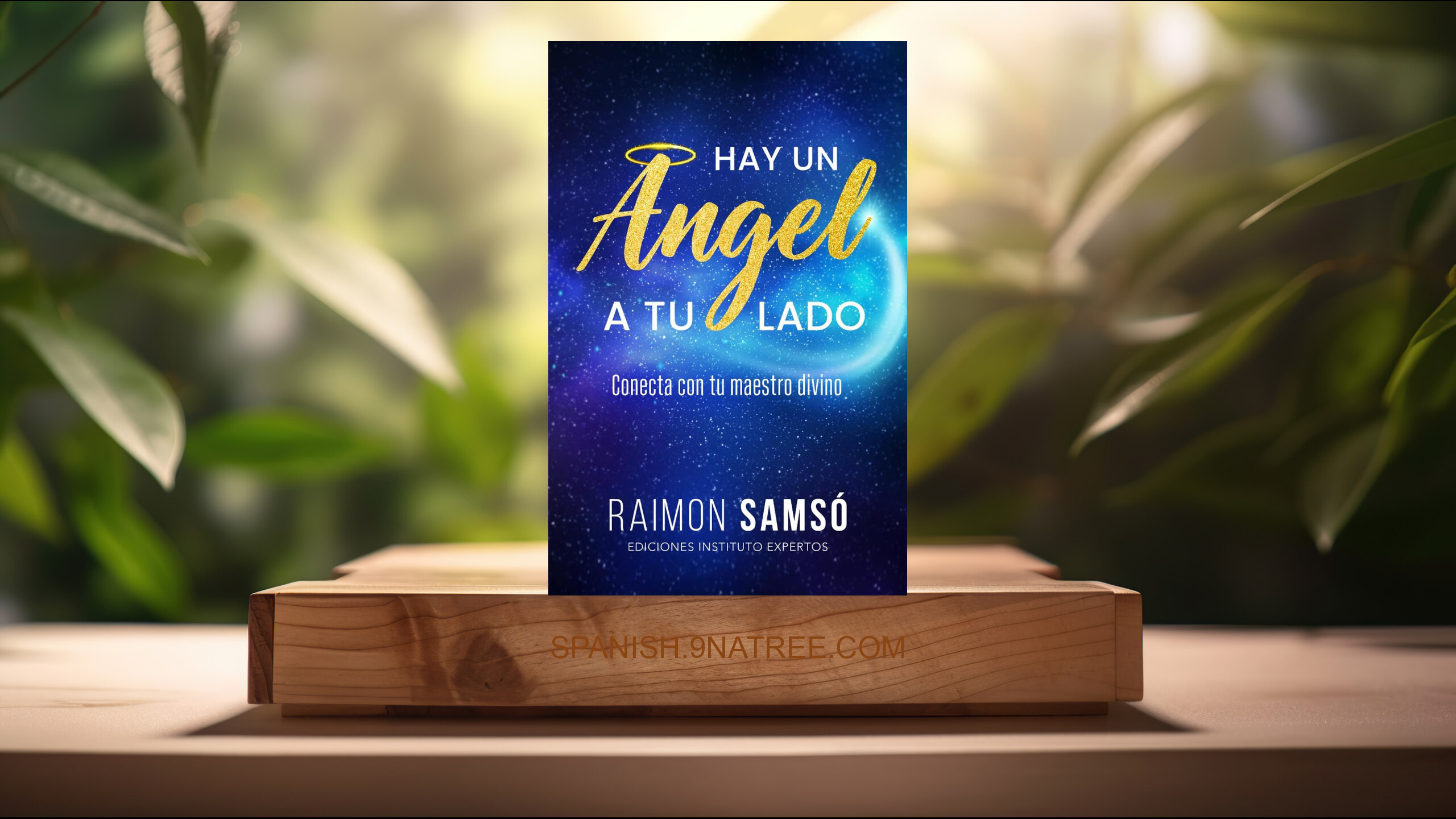 [Reseña] Hay un ángel a tu lado: Conecta con tu maestro divino  (Raimon Samsó) Resumida.