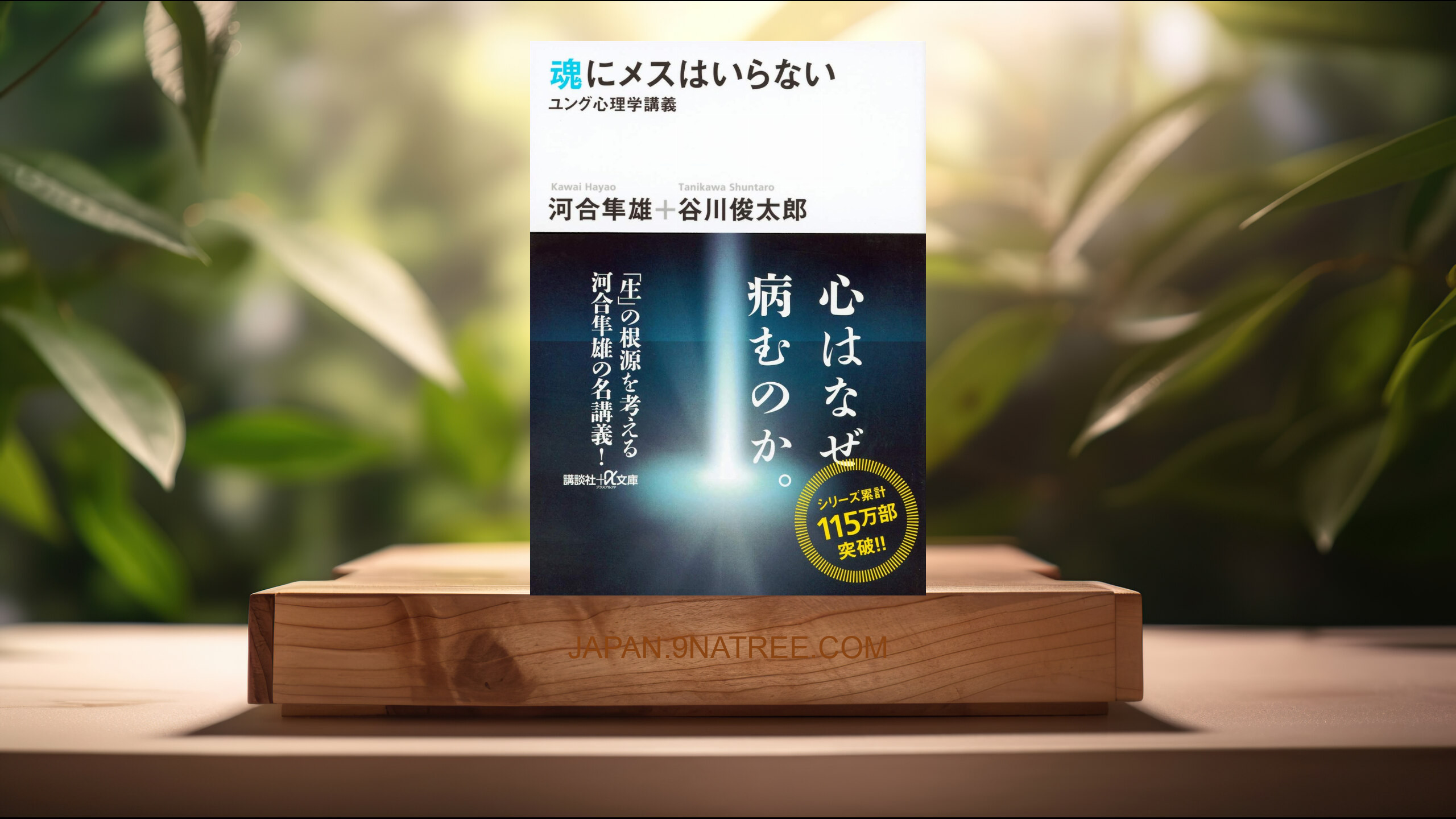 [レビュー] 魂にメスはいらない ユング心理学講義 (河合 隼雄) 要約した.