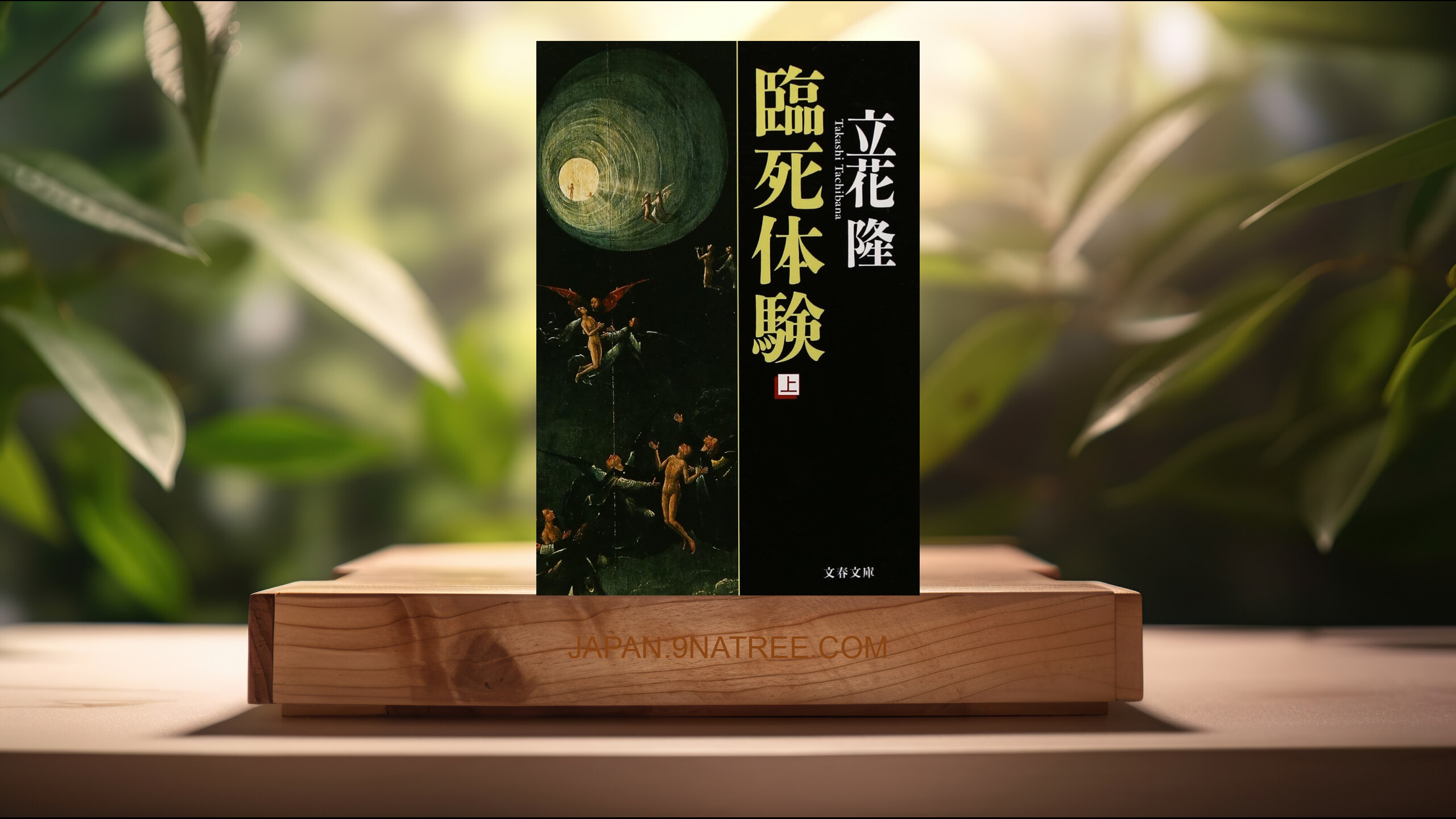 [レビュー] 臨死体験 上  (立花 隆) 要約した.