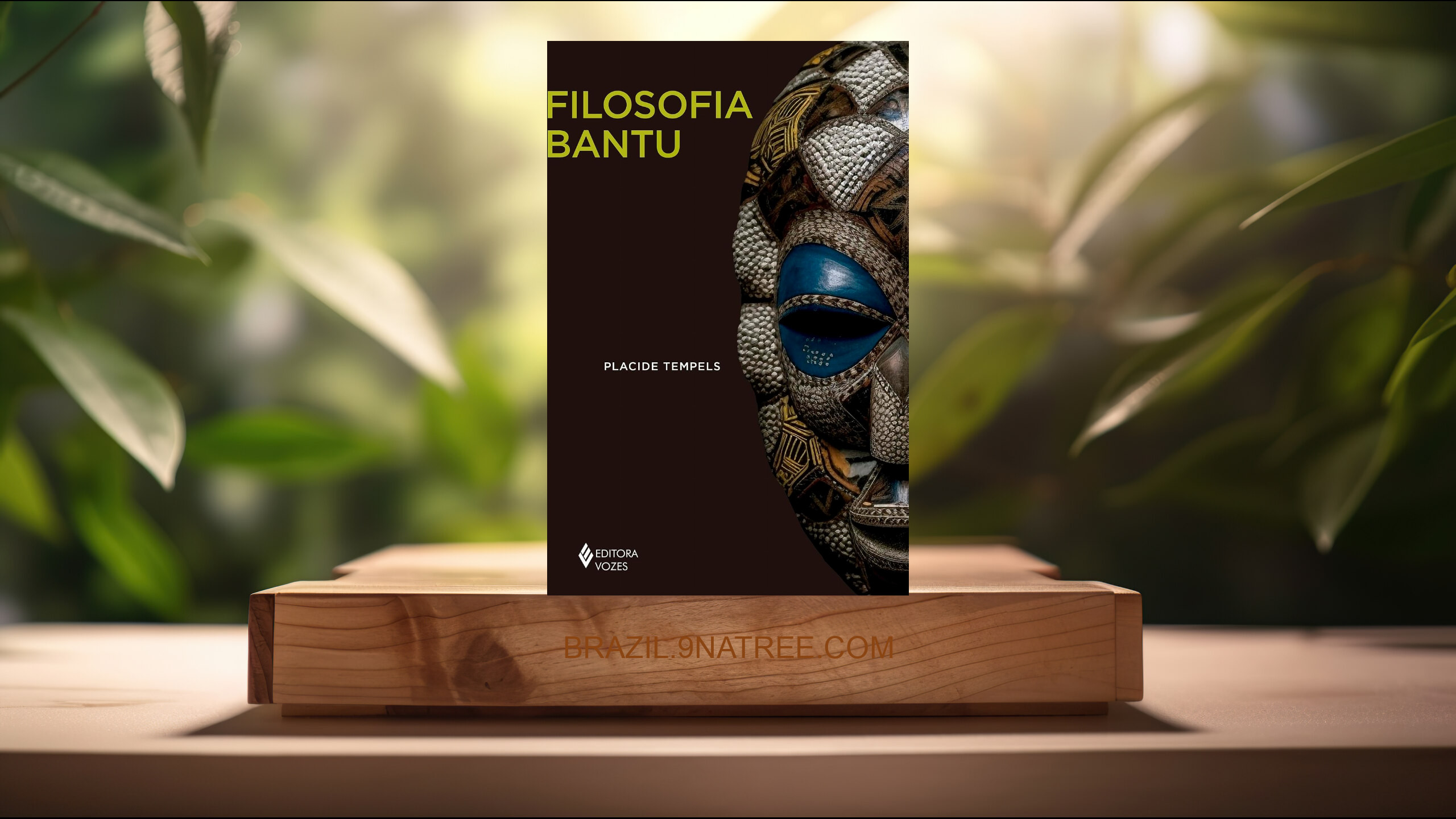 [Análises] Filosofia bantu (Placide Tempels) Resumidos.