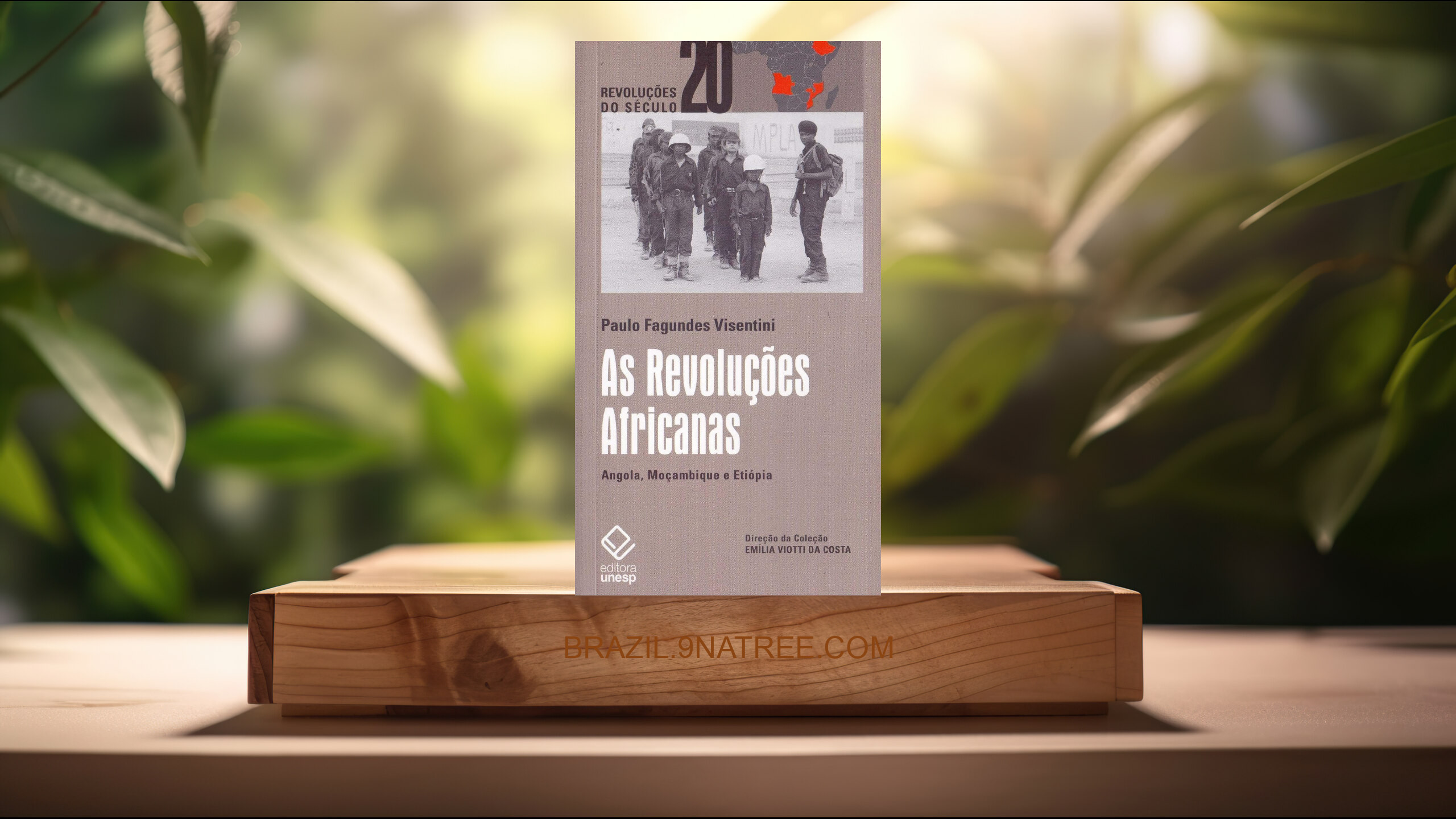 [Análises] As Revoluções Africanas: Angola, Moçambique e Etiópia (Paulo Fagundes Visentini) Resumidos.
