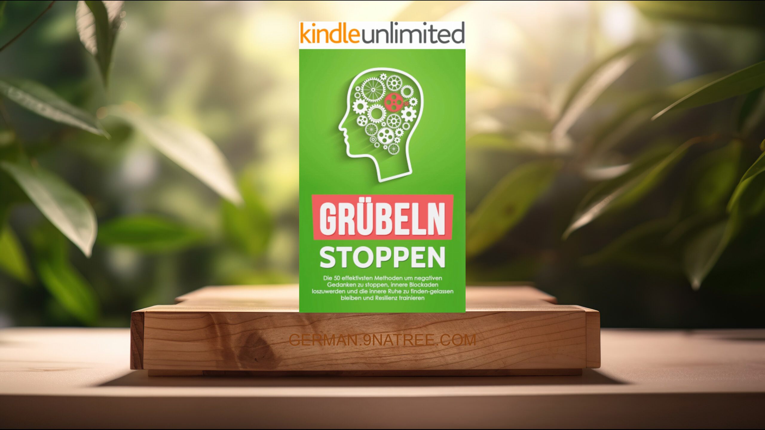 [Rezensiert] Grübeln stoppen (Christopher Lodge) Zusammengefasst.