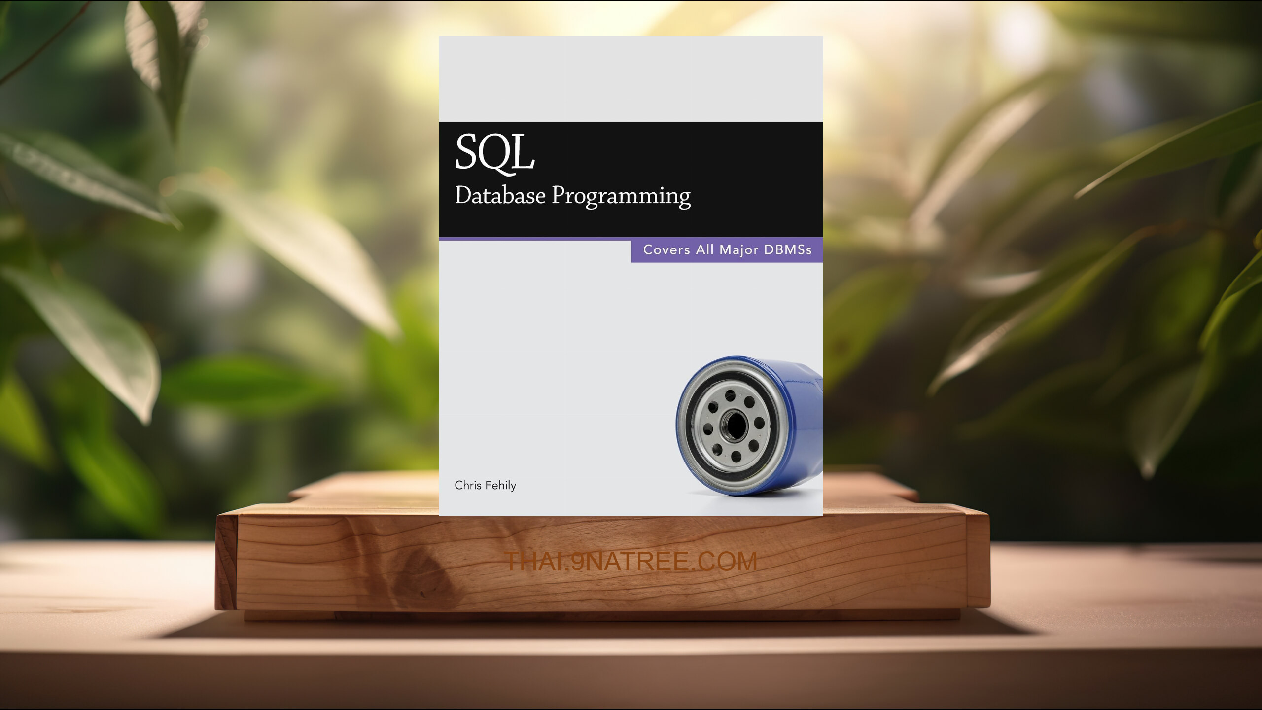 [รีวิว] SQL  (Chris Fehily) สรุปหนังสือ.