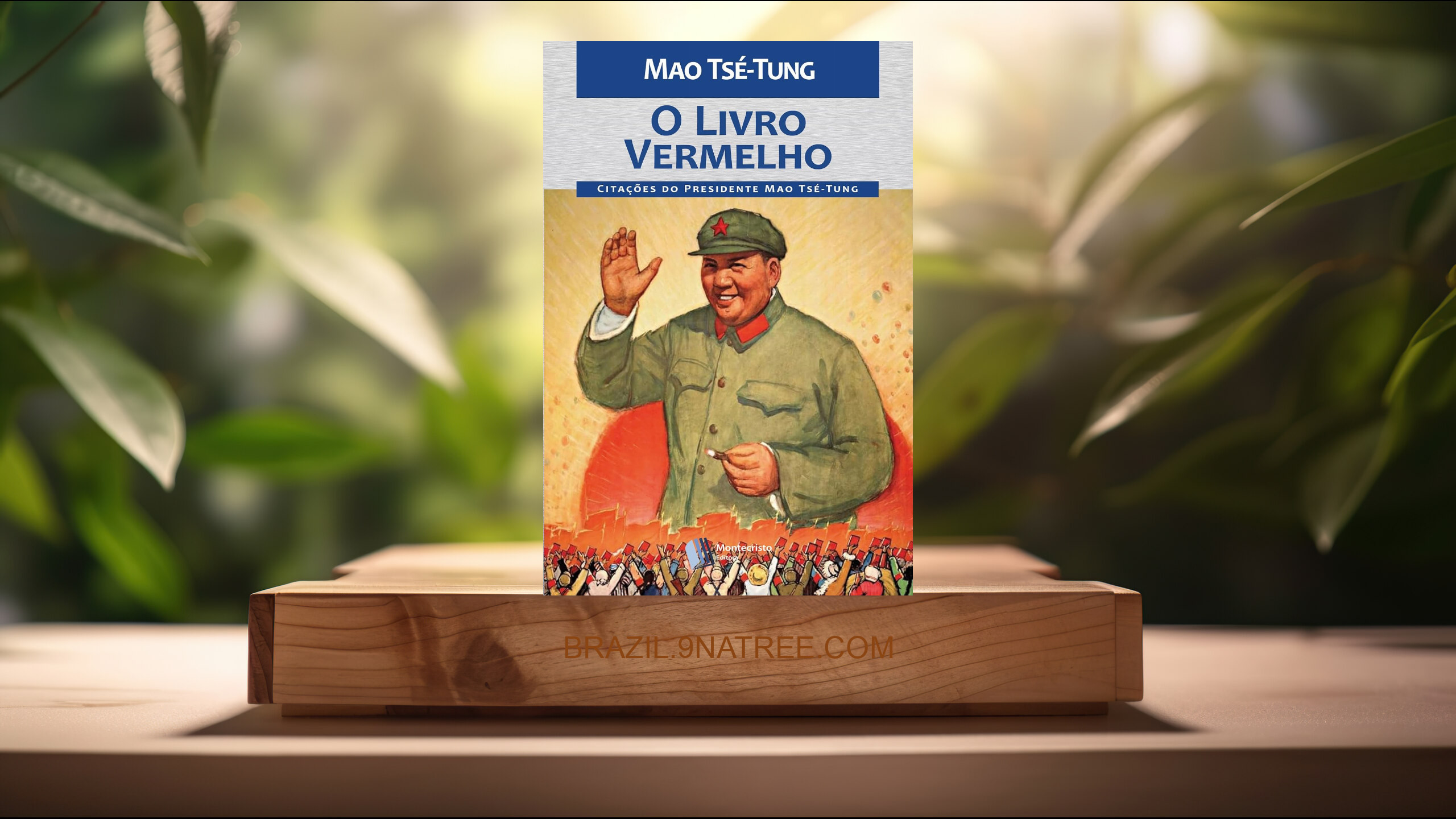 [Análises] O Livro Vermelho de Mao (Mao Tsé-Tung) Resumidos.
