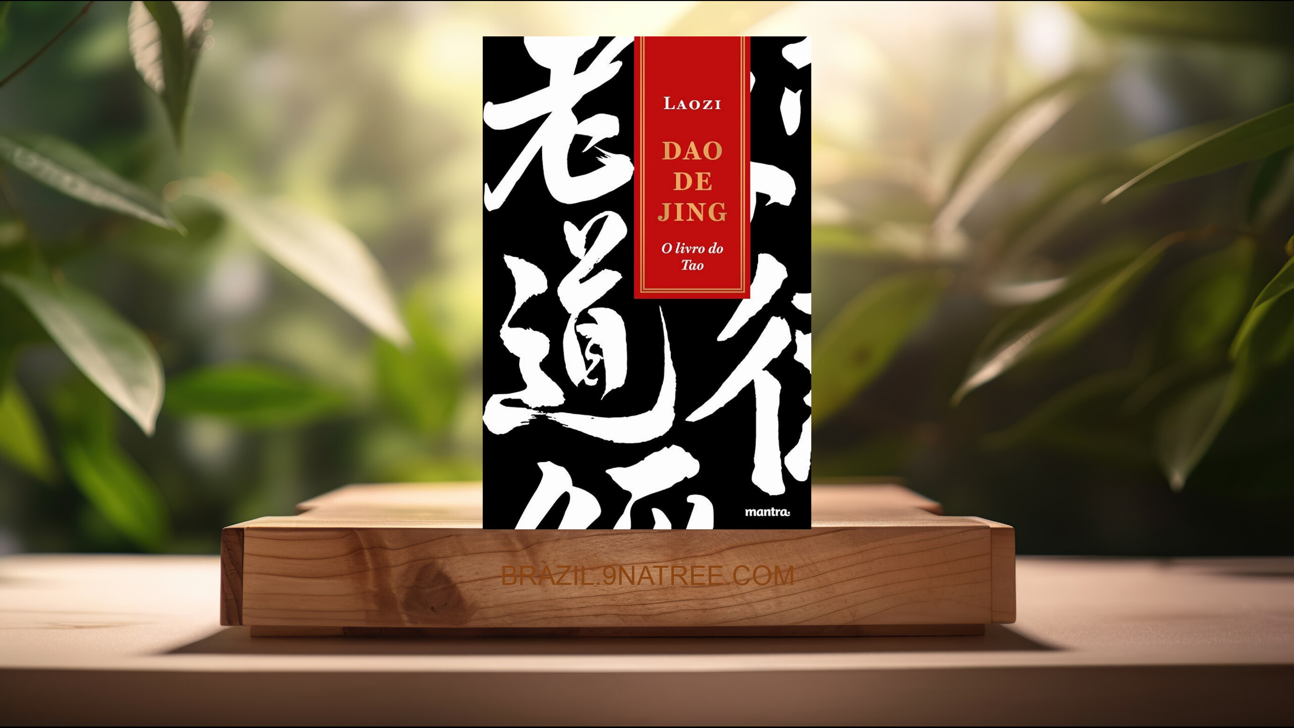 [Análises] Dao de Jing: O livro do Tao  (Laozi (Lao-Tsé)) Resumidos.