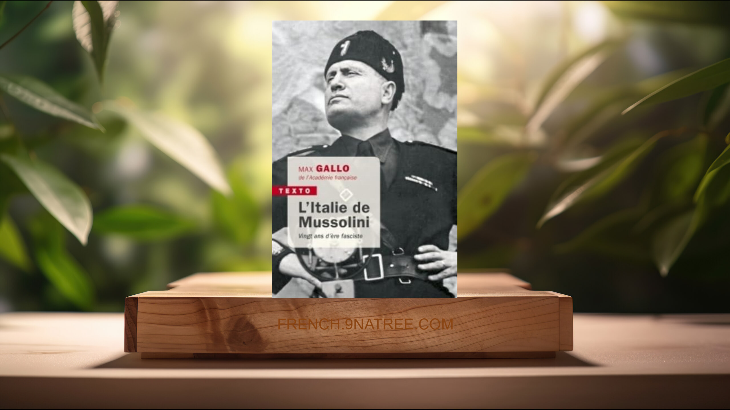 [Critique] L'Italie de Mussolini: Vingt ans d'ere fasciste (Max Gallo) Résumé.