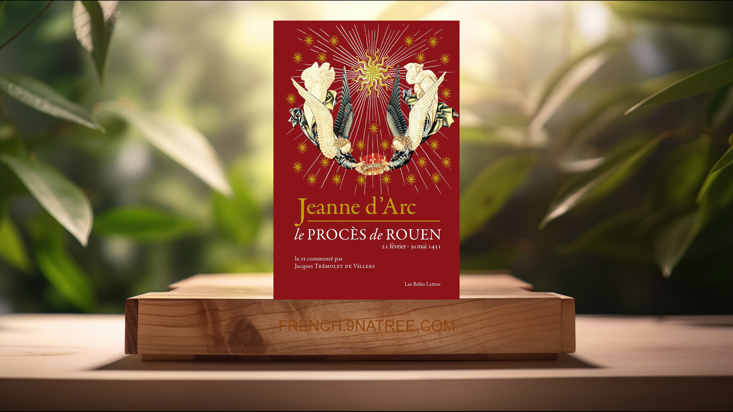 [Critique] Jeanne d'Arc: Le procès de Rouen   (Jacques Trémolet de Villers) Résumé.