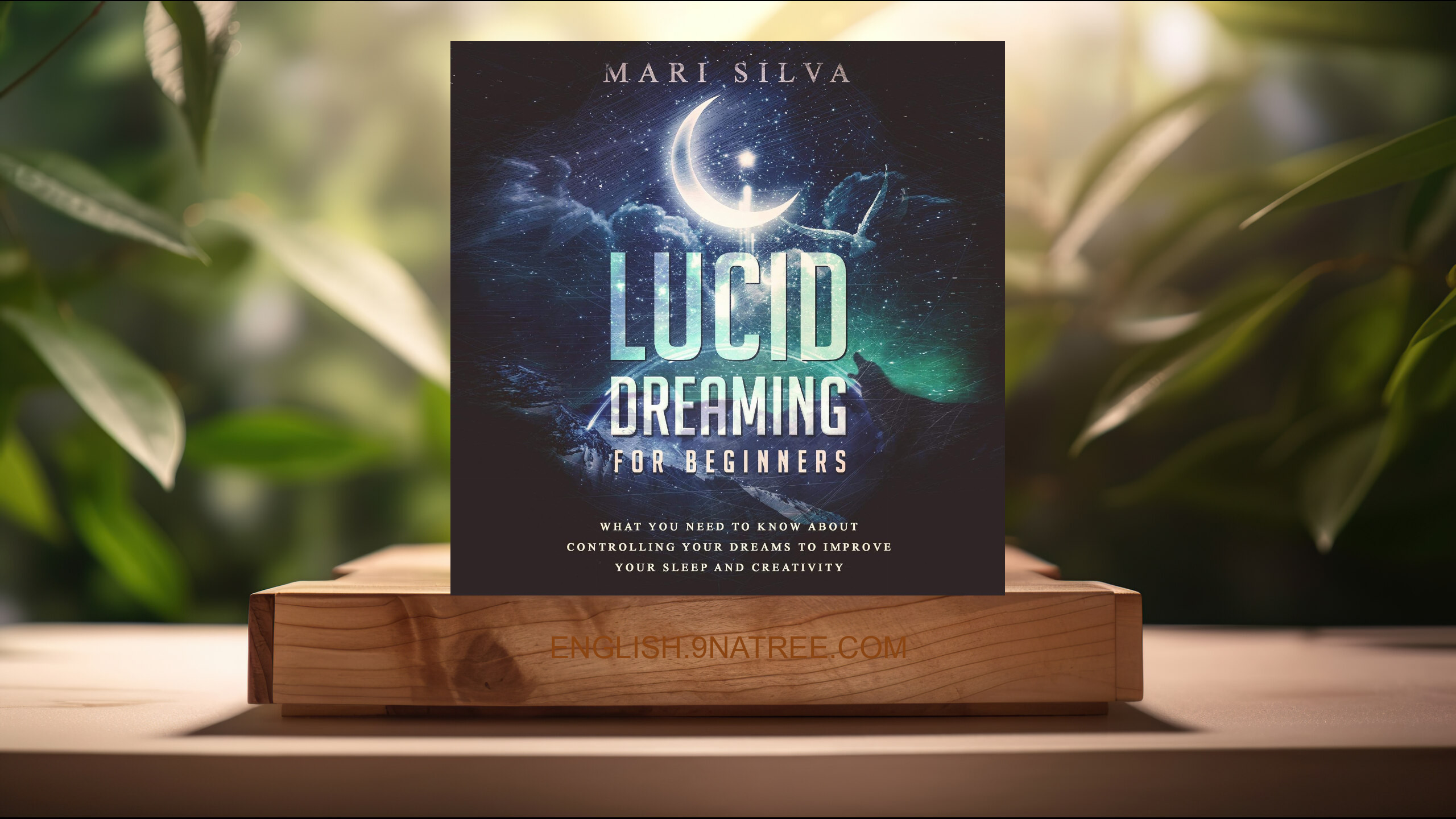 [Review] Lucid Dreaming for Beginners (Mari Silva) Summarized.