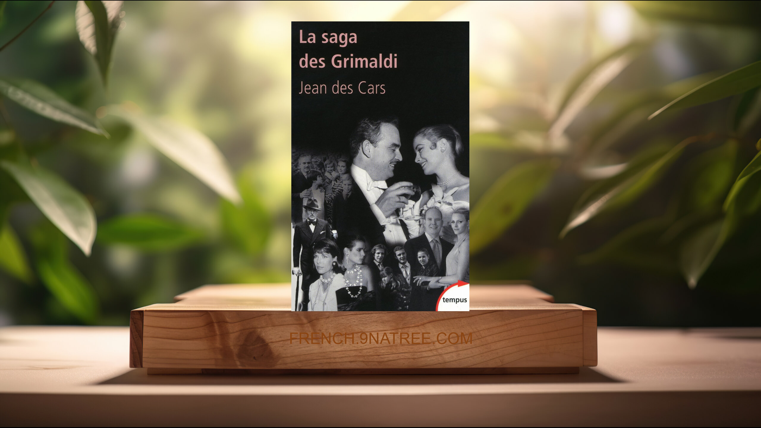 [Critique] La saga des Grimaldi  (Jean des Cars) Résumé.