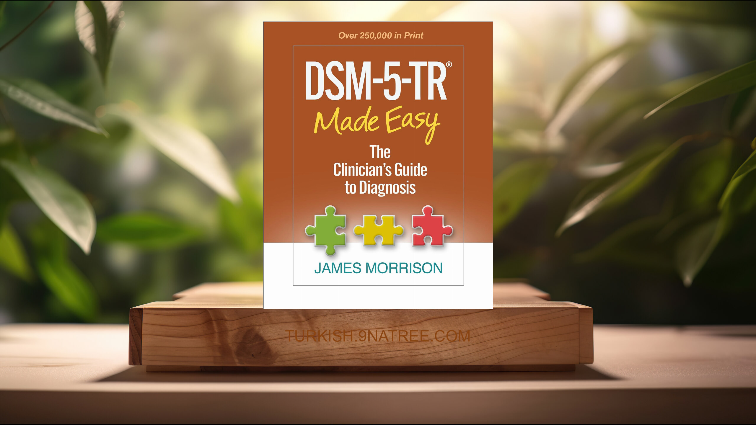 [İncelemesi] DSM-5-TR® Made Easy: The Clinician's Guide to Diagnosis (James Morrison) Özeti.