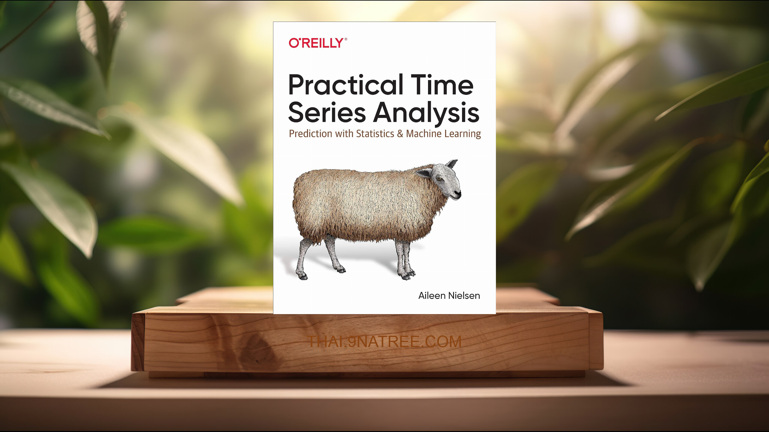 [รีวิว] Practical Time Series Analysis (Aileen Nielsen) สรุปหนังสือ.