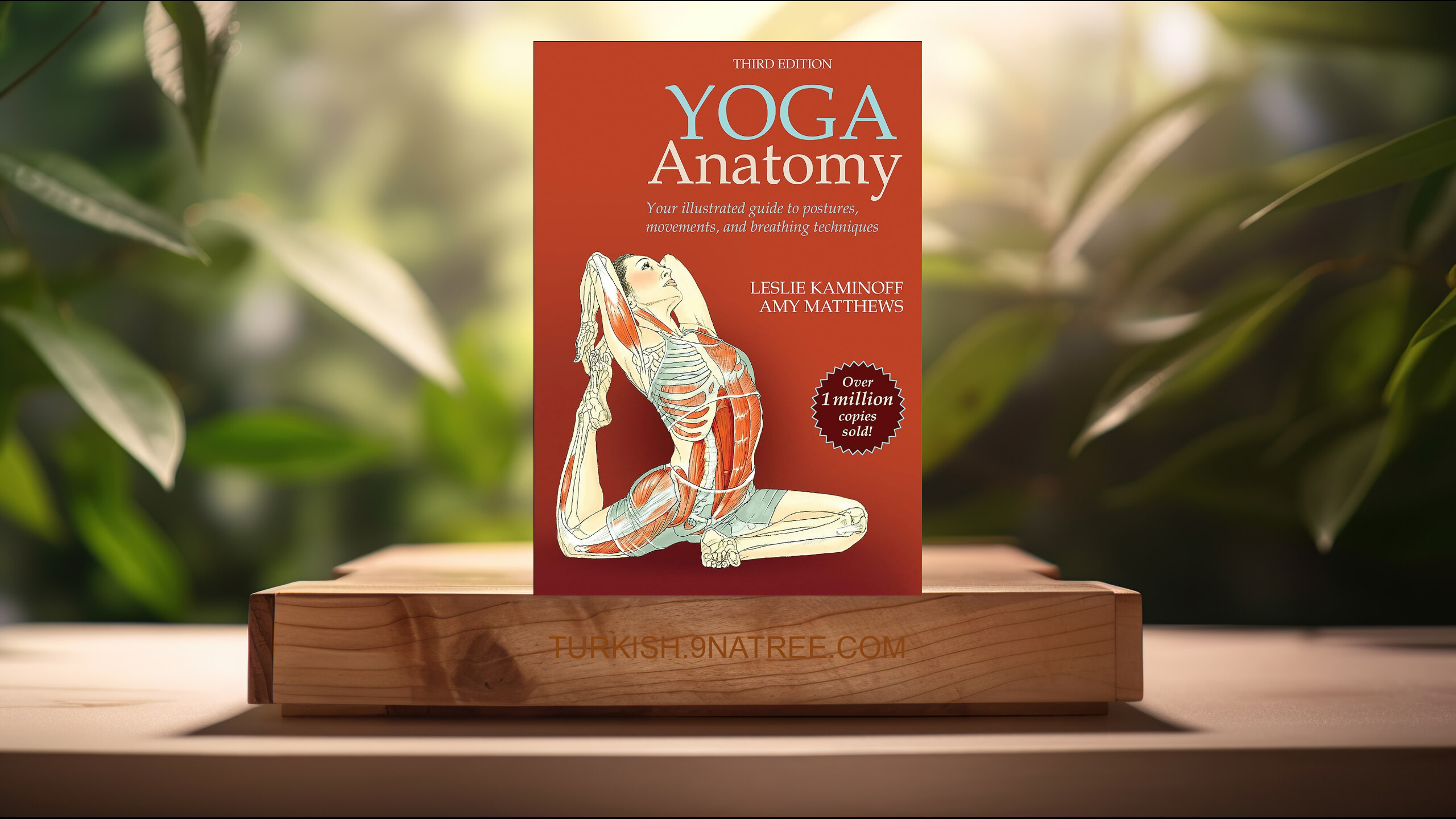 [İncelemesi] Yoga Anatomy (Leslie Kaminoff) Özeti.