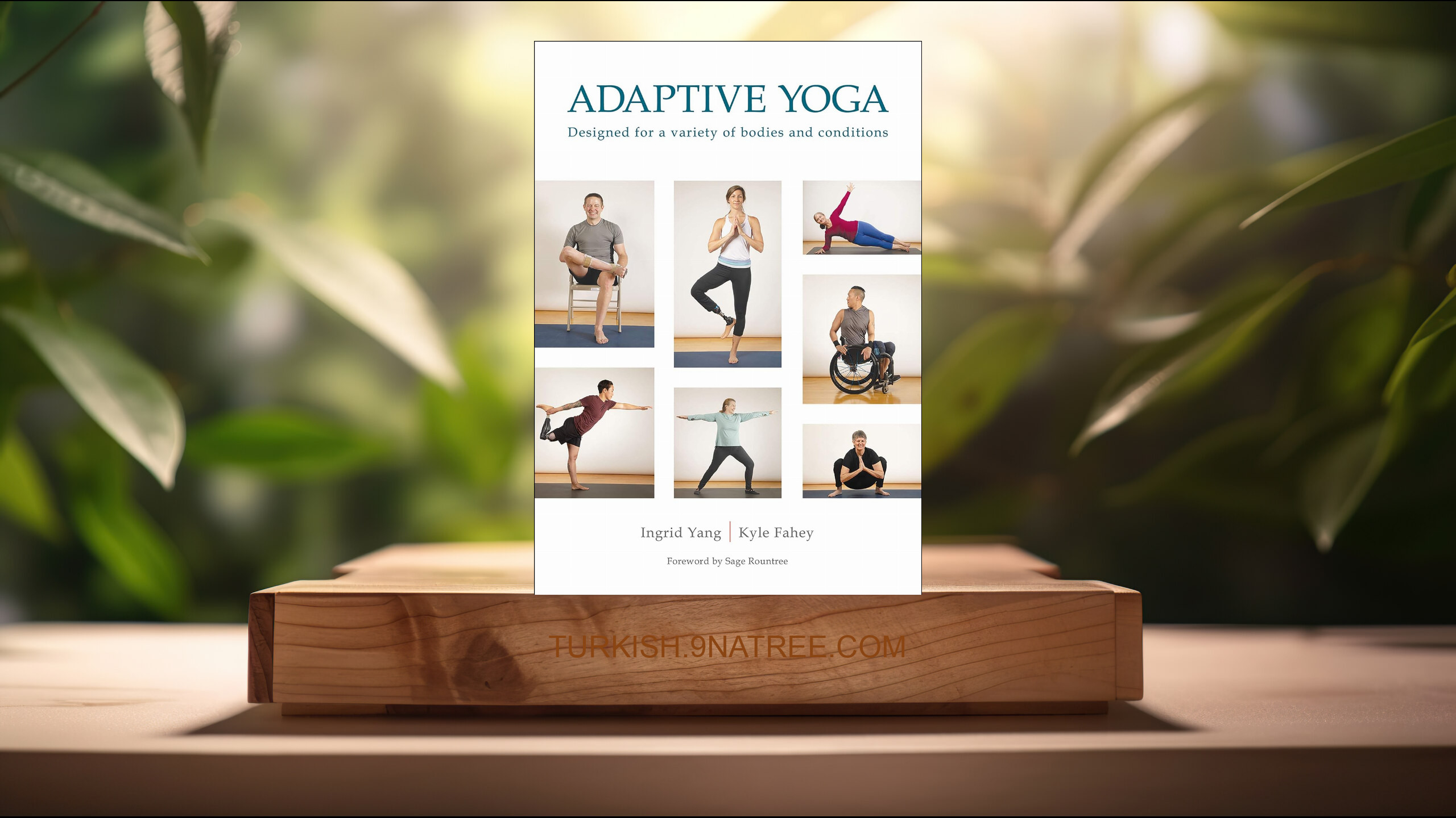 [İncelemesi] Adaptive Yoga (Ingrid Yang) Özeti.