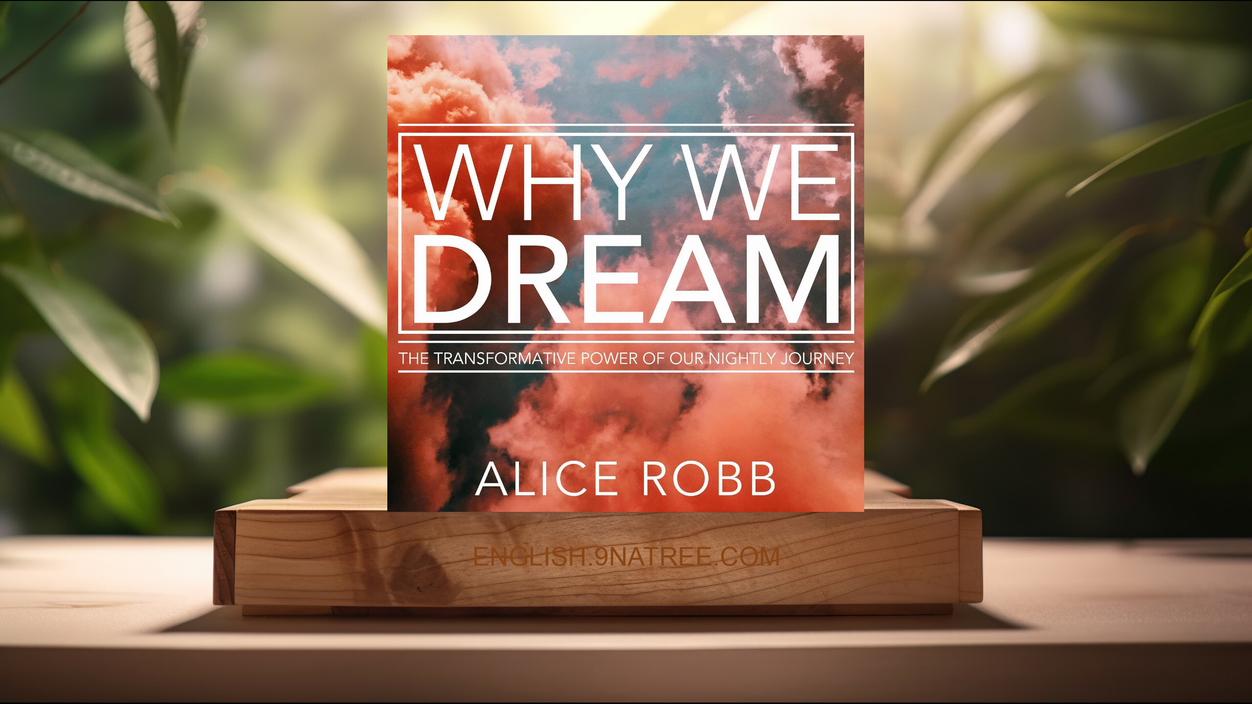 [Review] Why We Dream: The Transformative Power of Our Nightly Journey (Alice Robb) Summarized.