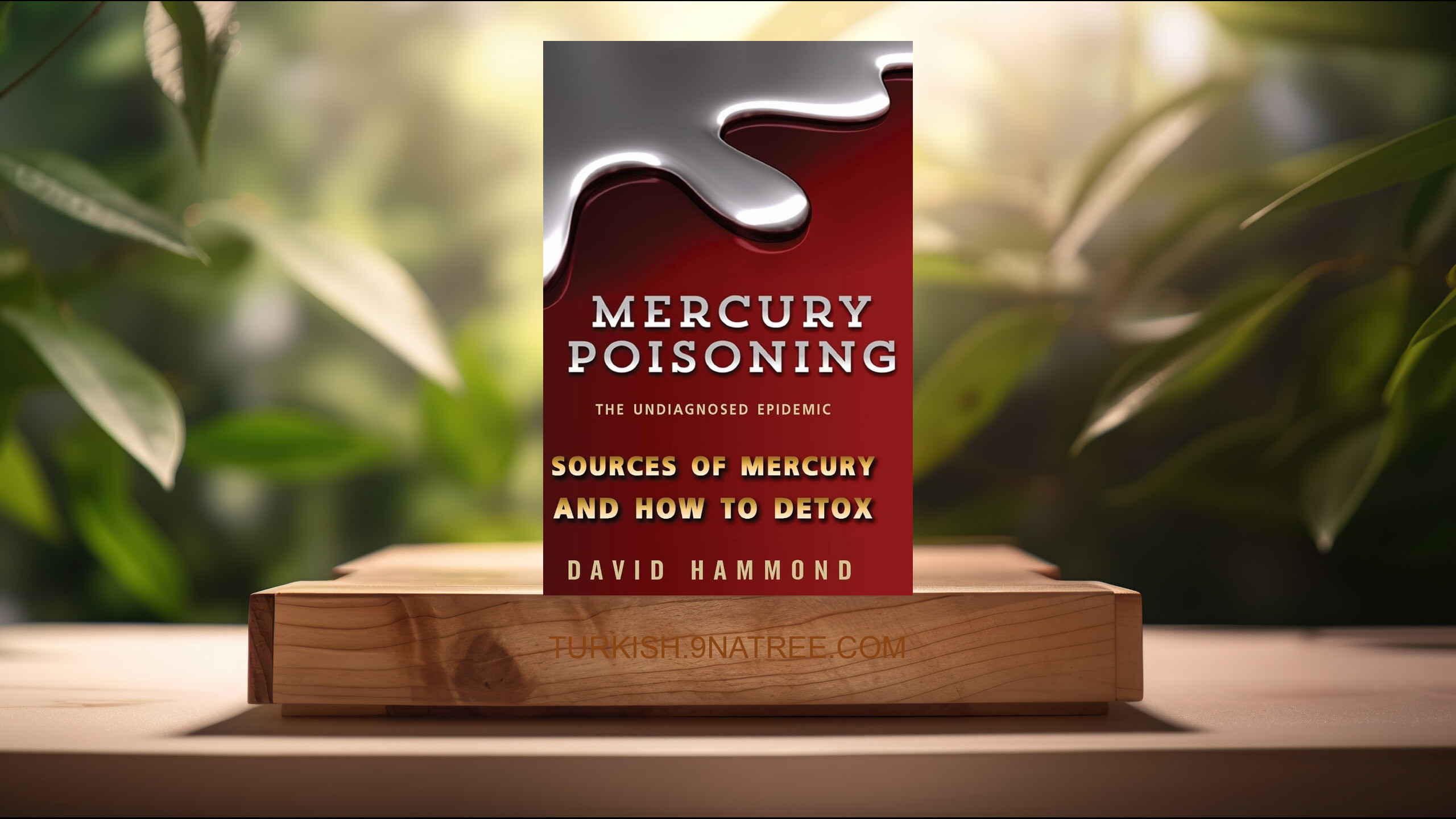 [İncelemesi] Mercury Poisoning: The Undiagnosed Epidemic (David Hammond) Özeti.