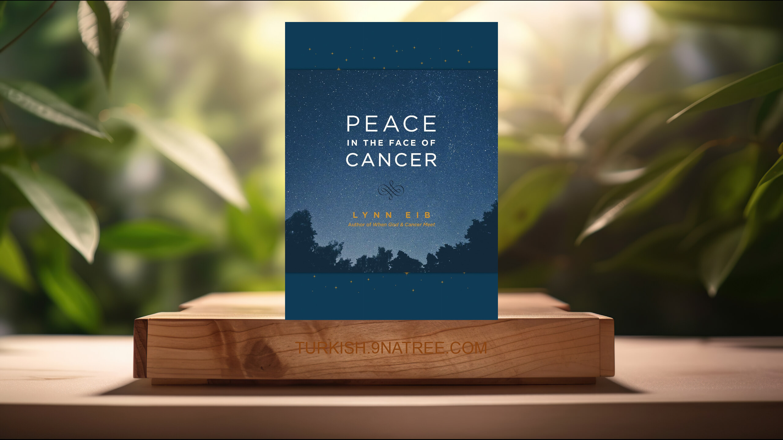 [İncelemesi] Peace in the Face of Cancer (Lynn Eib) Özeti.