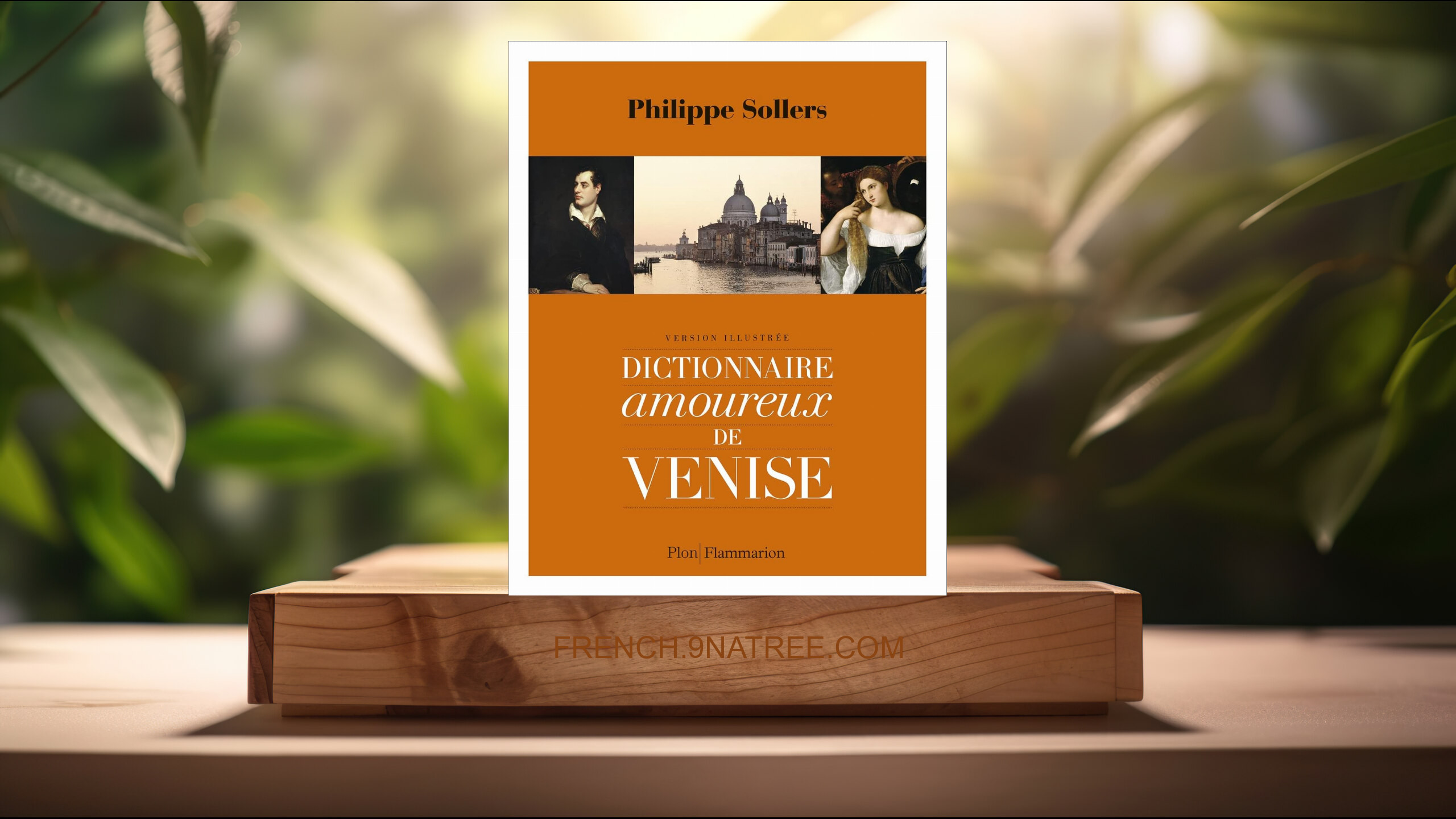 [Critique] Dictionnaire amoureux de Venise: Version illustrée (Philippe Sollers) Résumé.