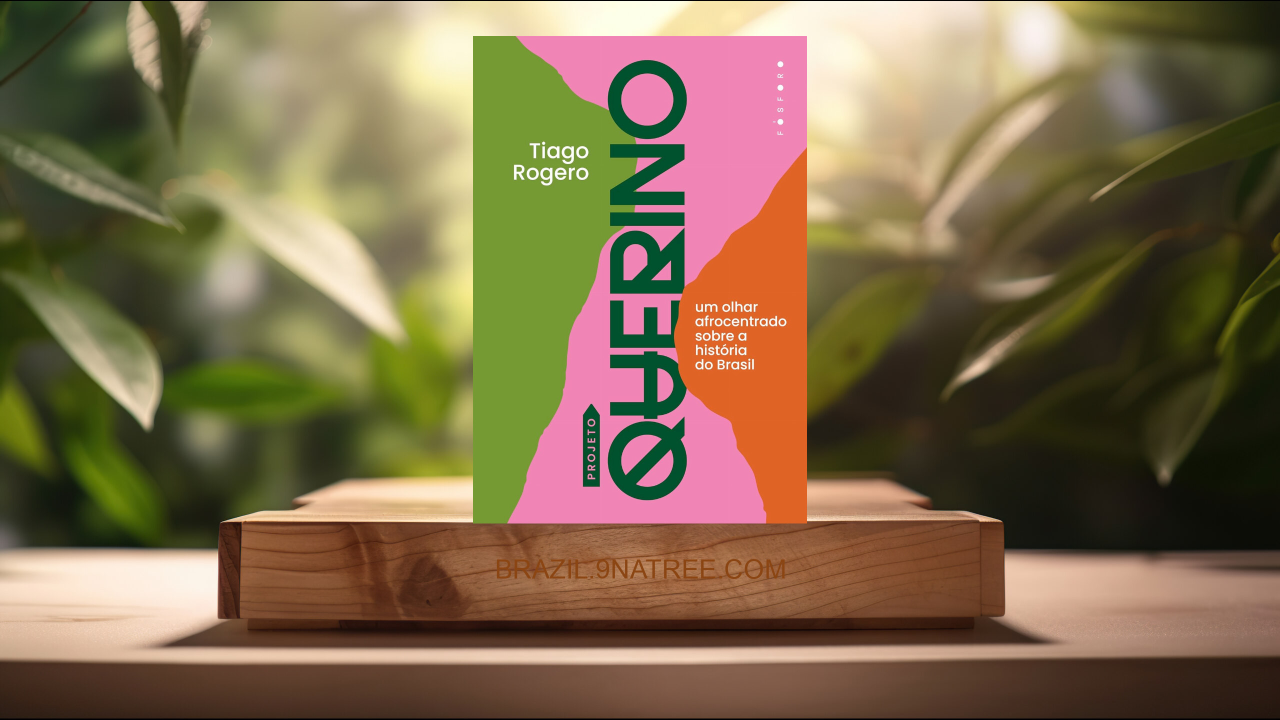 [Análises] projeto Querino: Um olhar afrocentrado sobre a história do Brasil (Tiago Rogero) Resumidos.