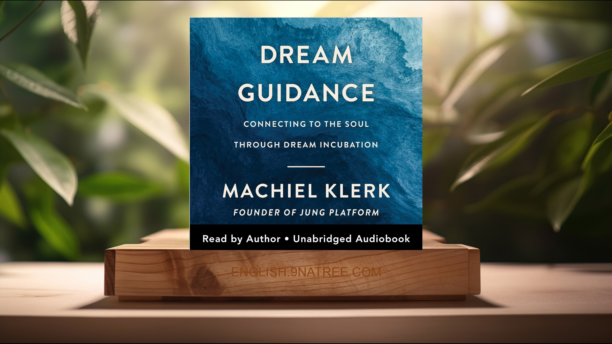 [Review] Dream Guidance: Connecting to the Soul Through Dream Incubation (Machiel Klerk) Summarized.