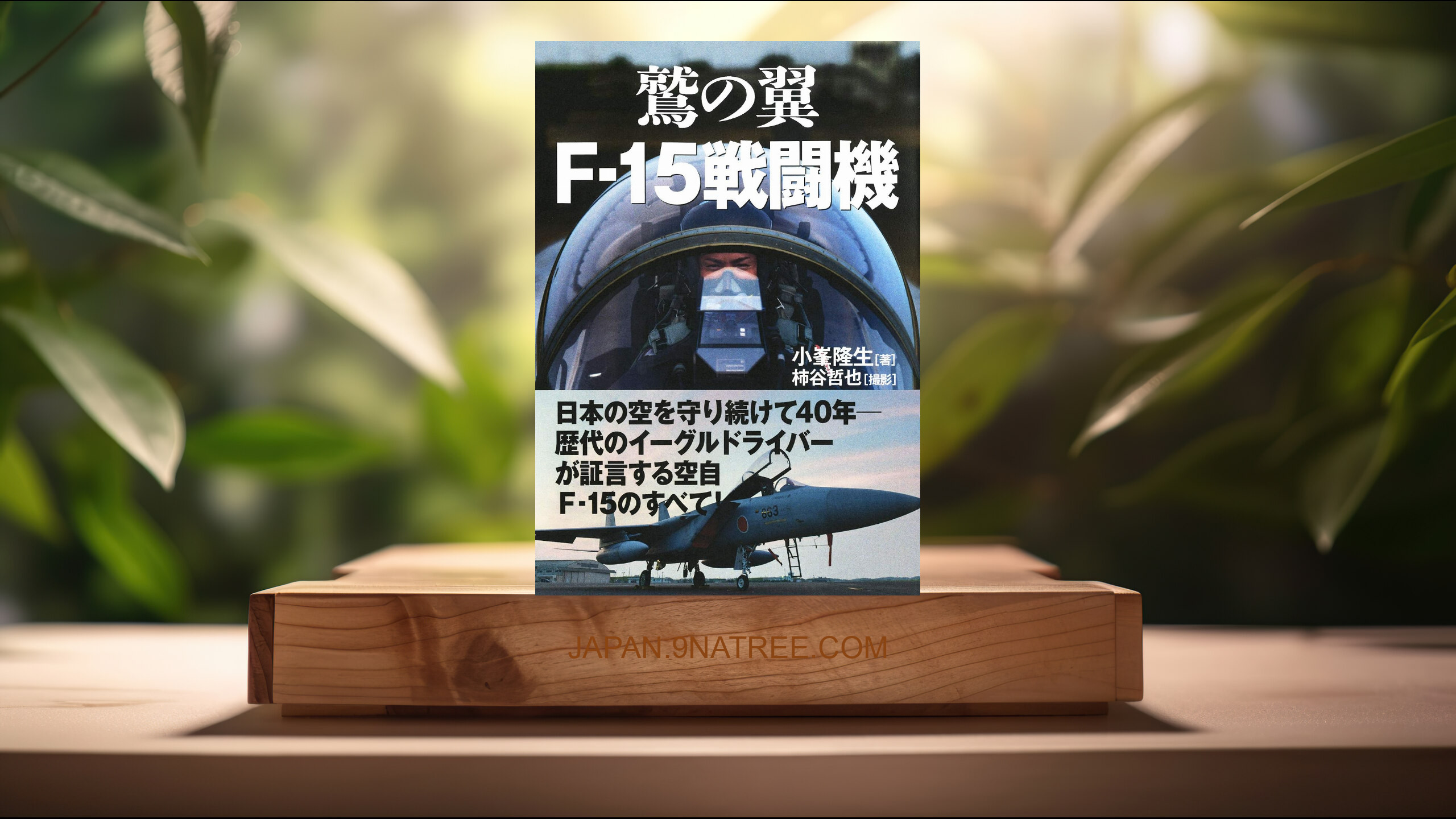 [レビュー] 鷲の翼 F-15戦闘機 (小峯 隆生) 要約した.