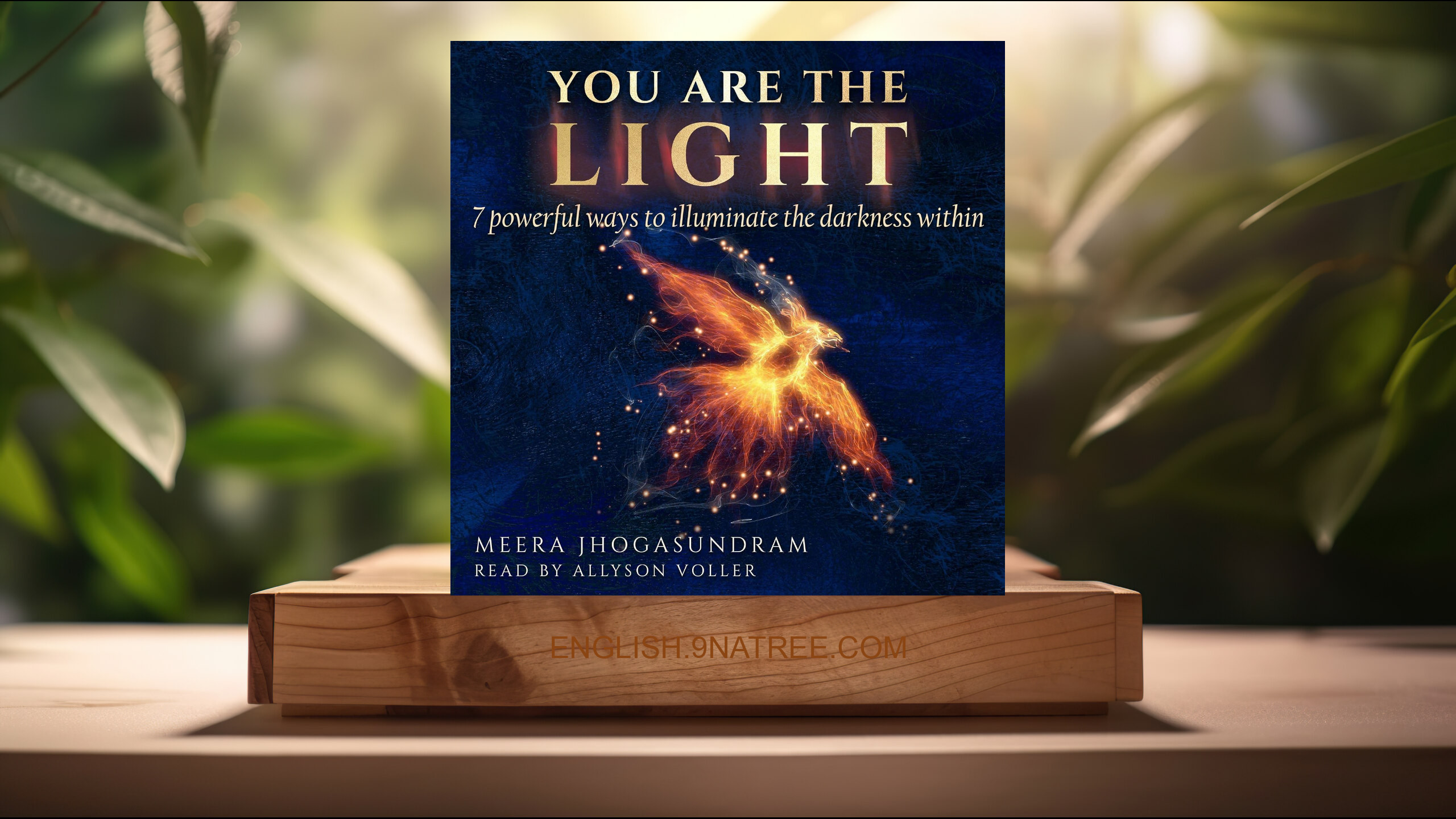 [Review] You Are the Light: 7 Powerful Ways to Illuminate the Darkness Within (Meera Jhogasundram) Summarized.