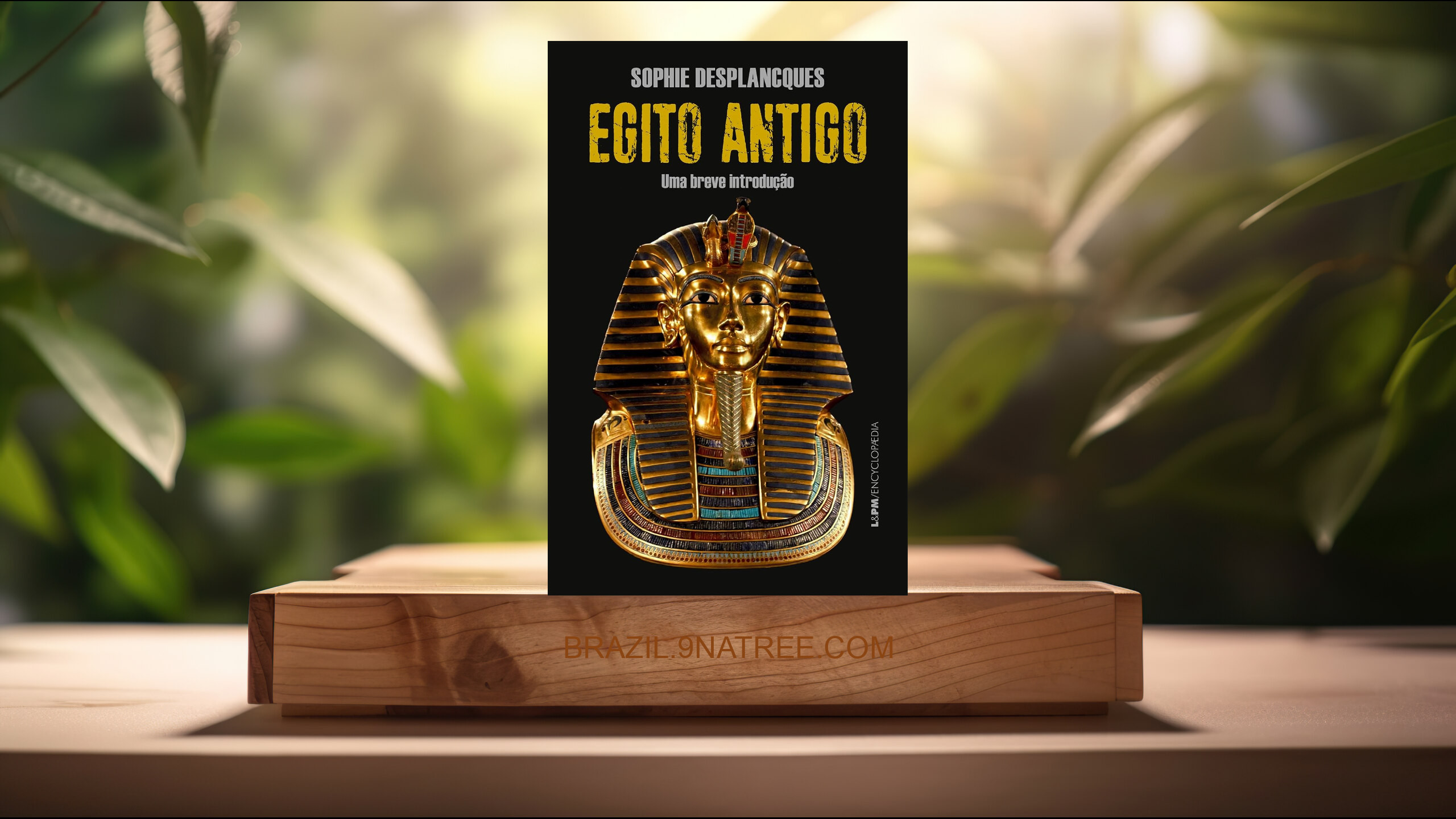 [Análises] Egito antigo: uma breve introdução (Sophie Desplancques) Resumidos.