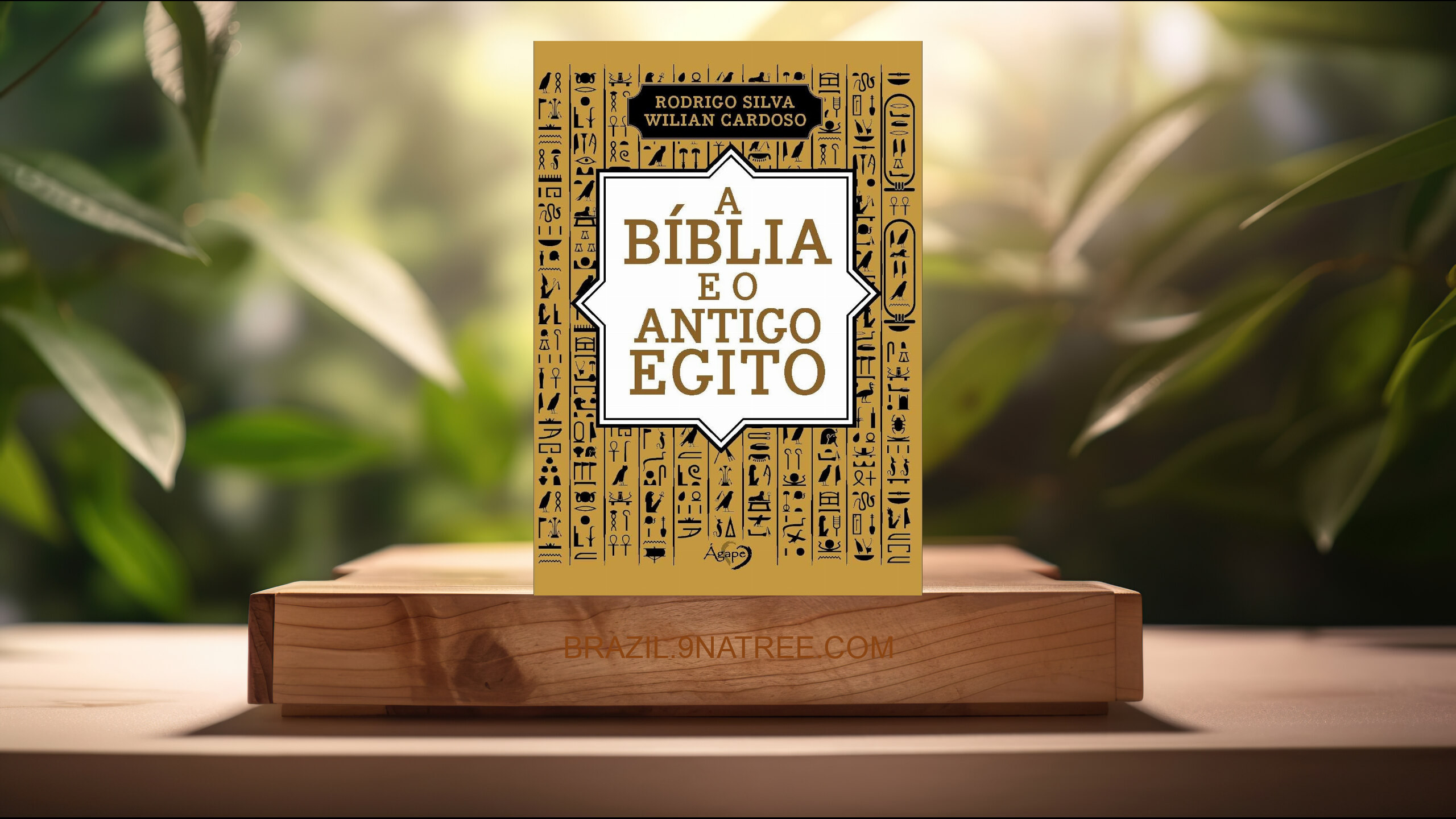 [Análises] A BÍBLIA E O ANTIGO EGITO (Rodrigo Silva) Resumidos.