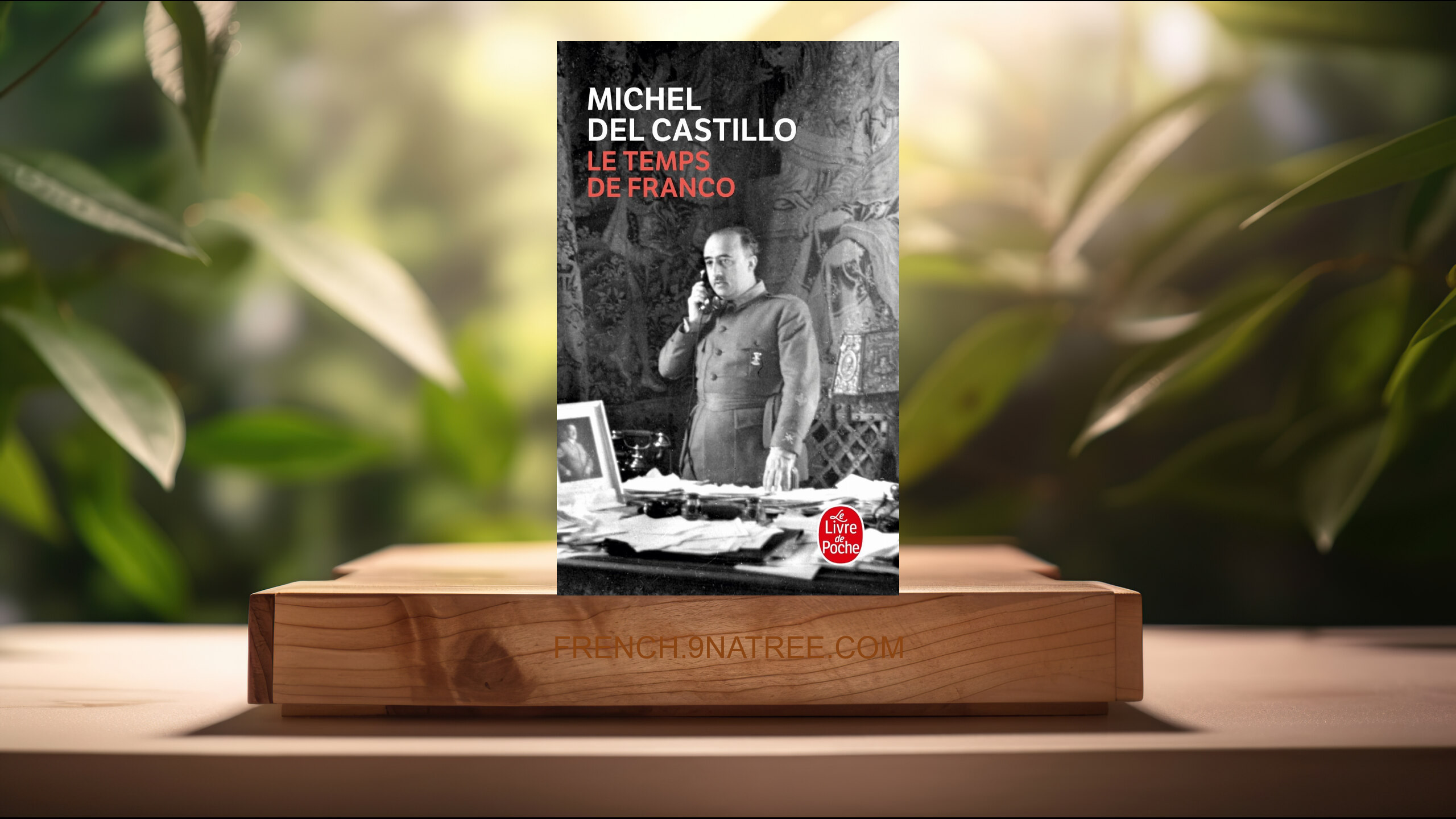 [Critique] Le Temps de Franco (Michel Del Castillo) Résumé.