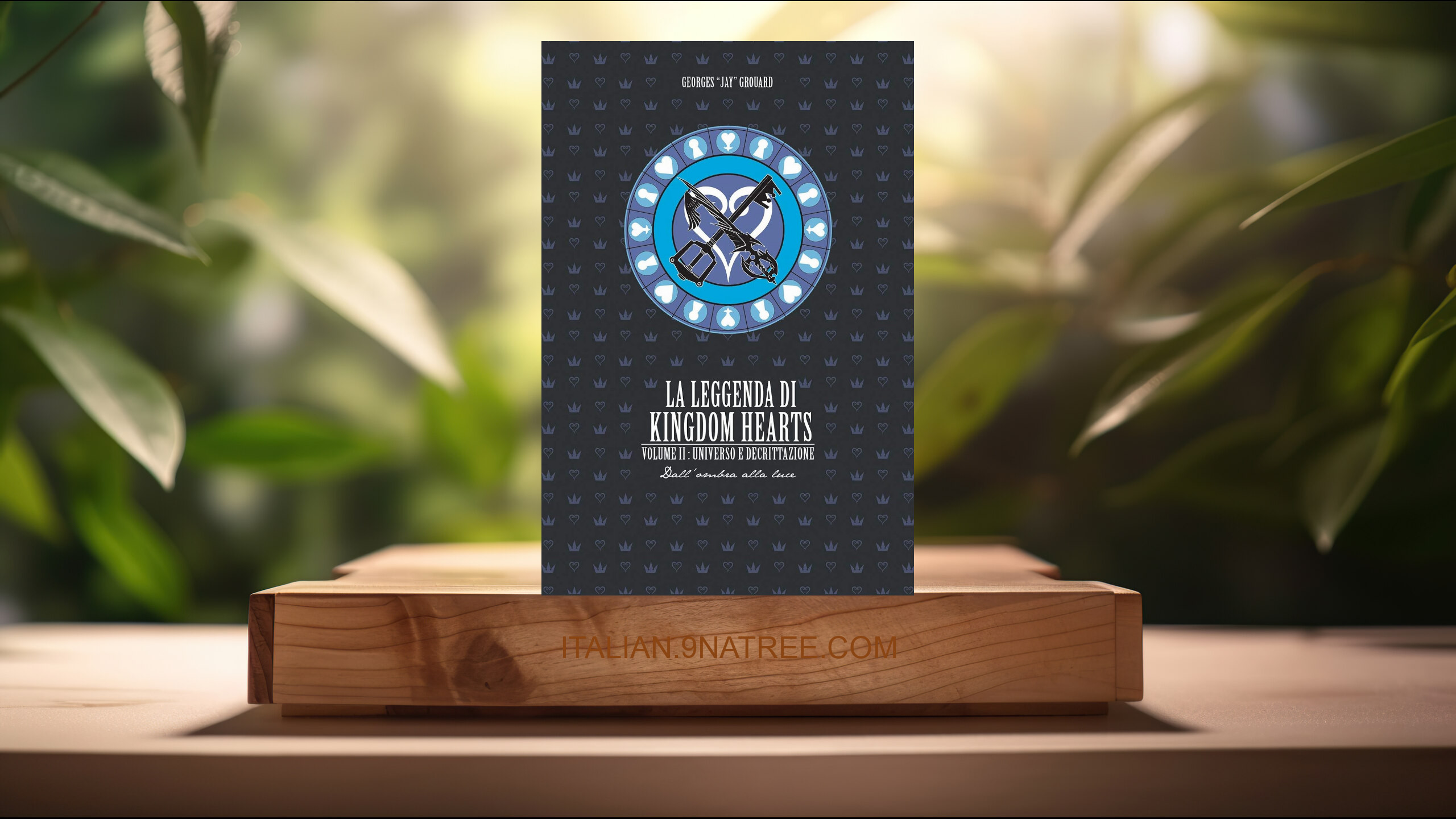 [Recensione] La leggenda di Kingdom hearts. Universo e Decrittazione  (Georges Jay Grouard) Riassunto.