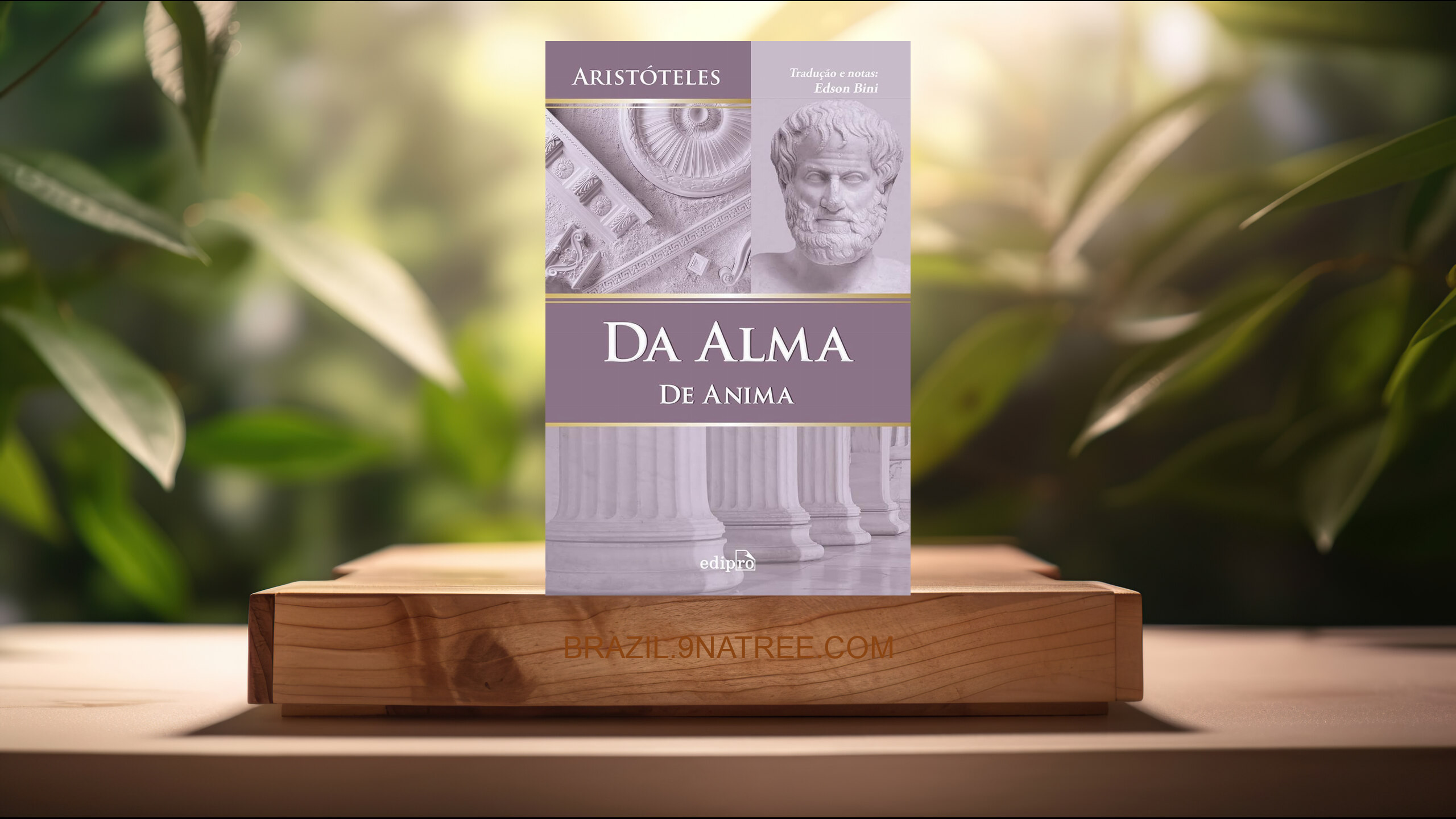 [Análises] Da Alma  - Aristóteles (Aristóteles) Resumidos.
