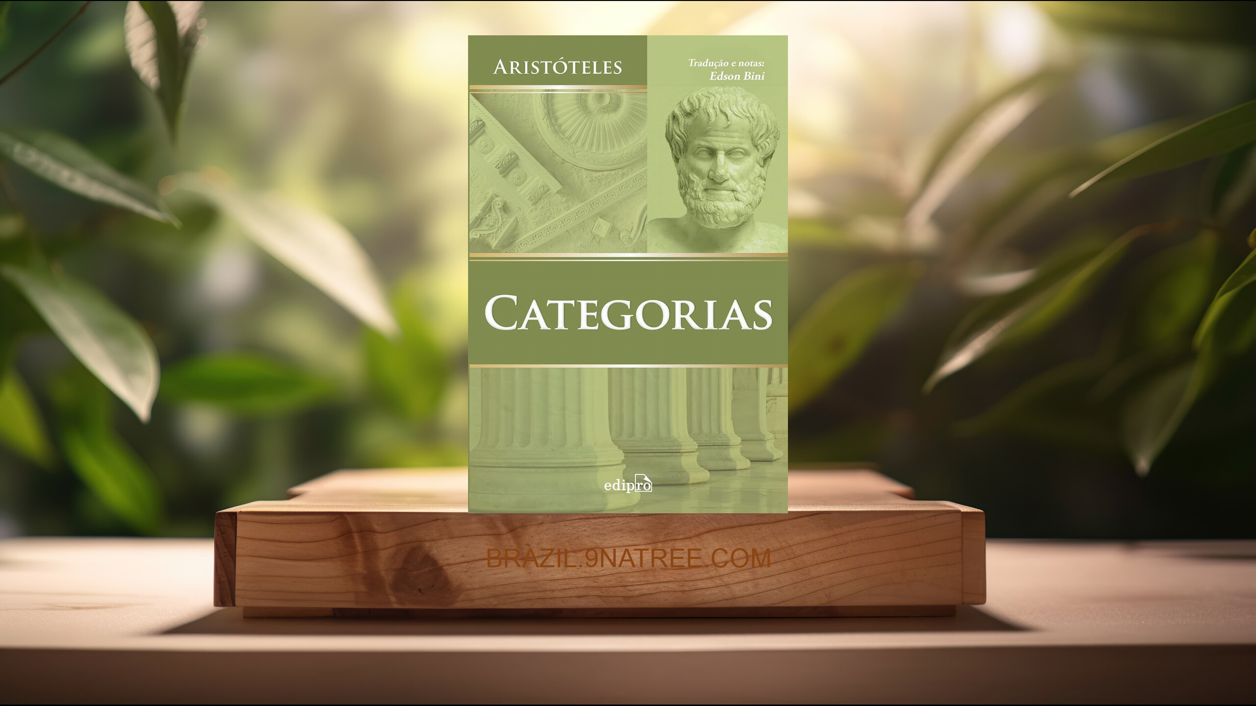 [Análises] Categorias - Aristóteles (Aristóteles) Resumidos.
