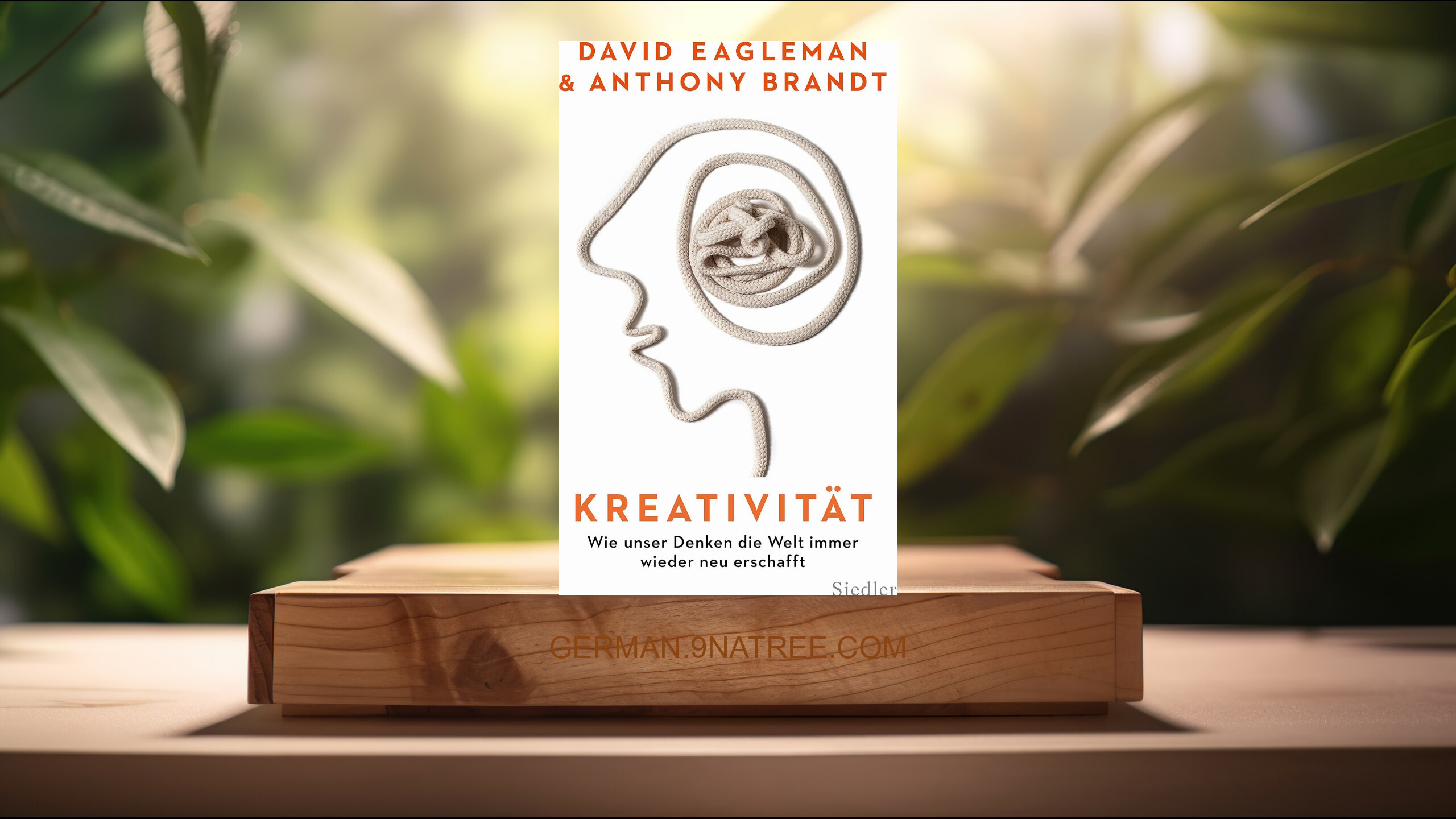 [Rezensiert] Kreativität: Wie unser Denken die Welt immer wieder neu erschafft (David Eagleman) Zusammengefasst.