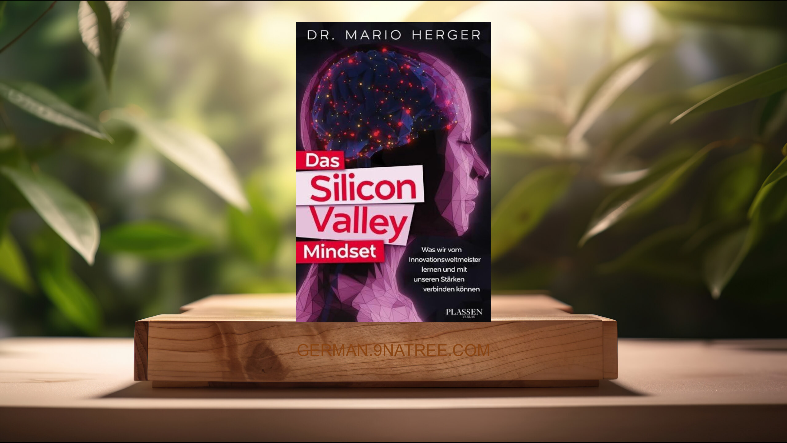 [Rezensiert] Das Silicon-Valley-Mindset (Mario Herger) Zusammengefasst.
