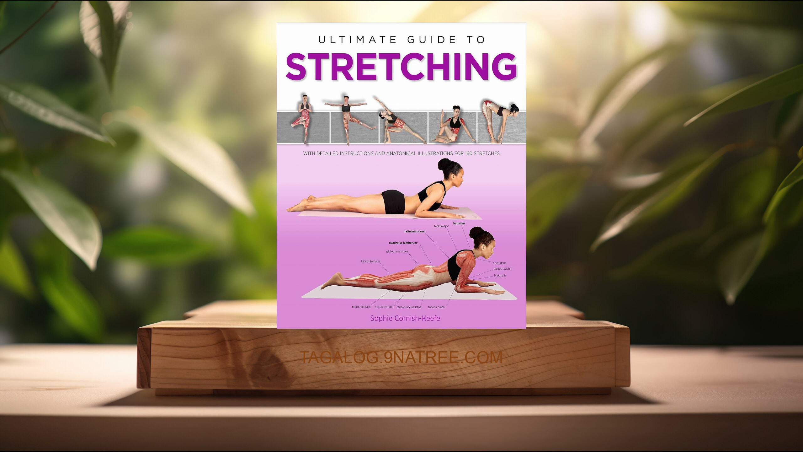 [Pagsusuri] Ultimate Guide to Stretching (Sophie Cornish-Keefe) Nabuod.