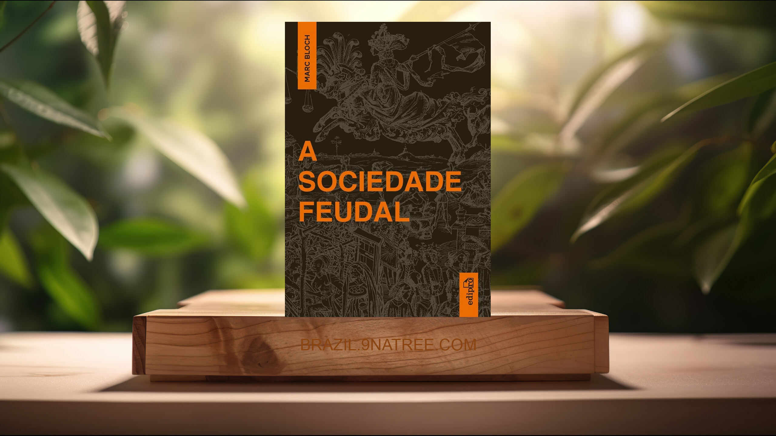 [Análises] A Sociedade Feudal (Marc Bloch) Resumidos.