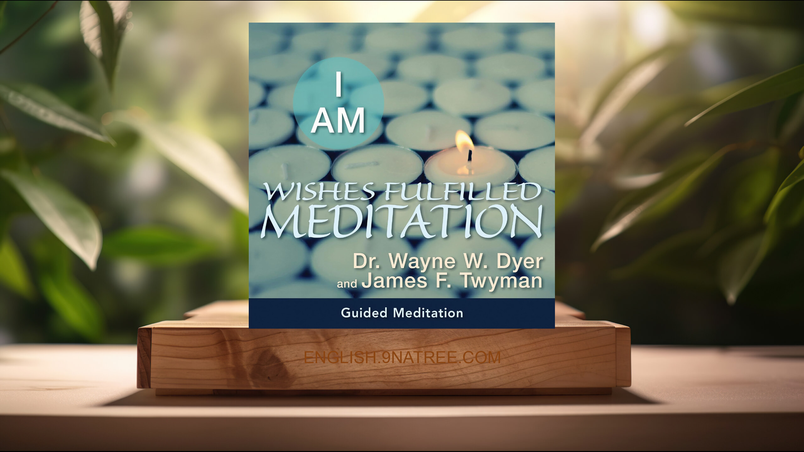 [Review] I AM Wishes Fulfilled Meditation (James F. Twyman) Summarized.