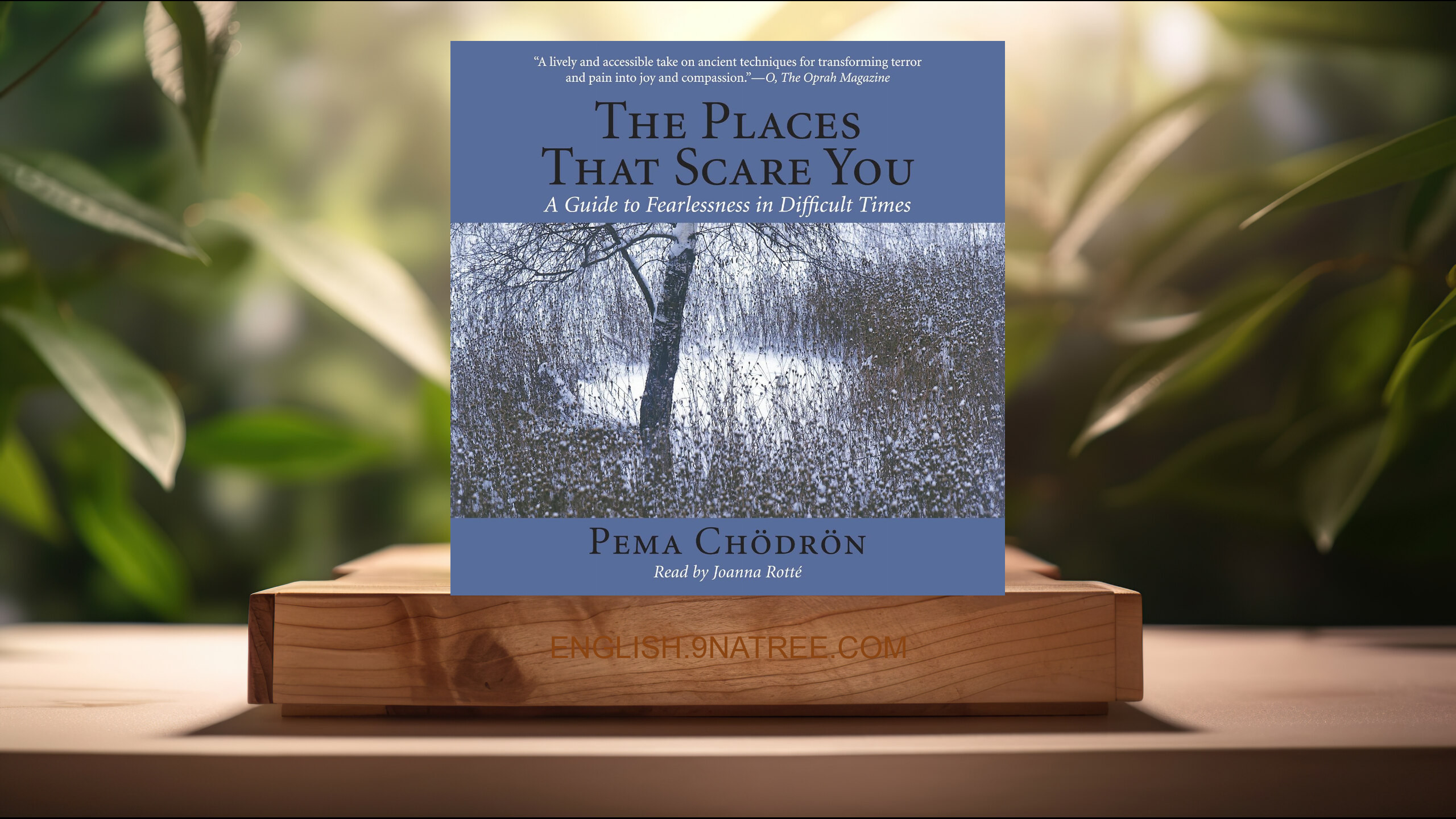 [Review] The Places That Scare You: A Guide to Fearlessness in Difficult Times (Pema Chödrön) Summarized.